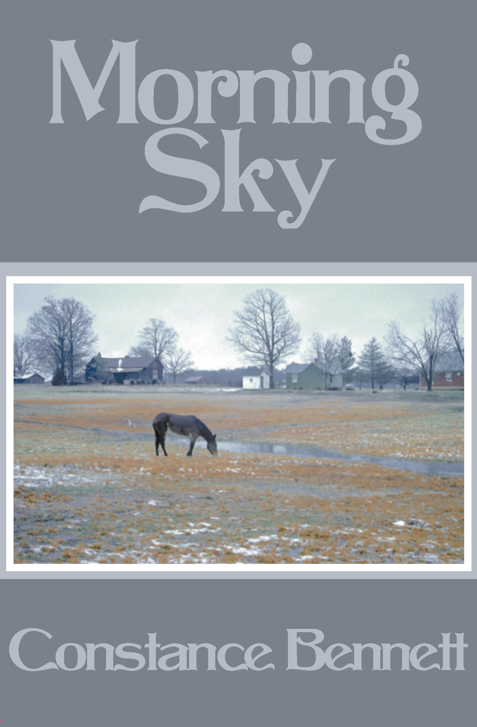 This image is the cover for the book Morning Sky