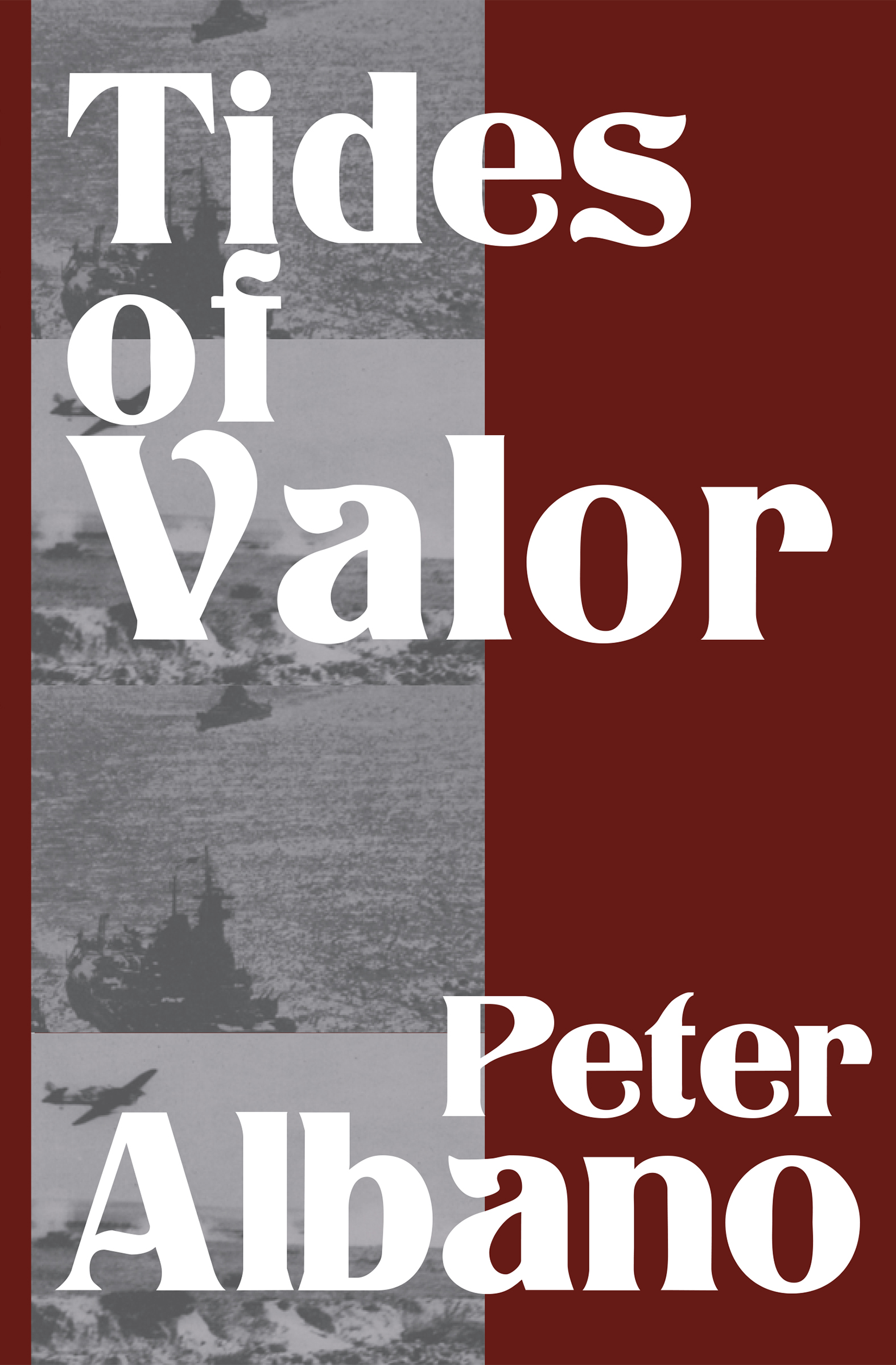 This image is the cover for the book Tides of Valor