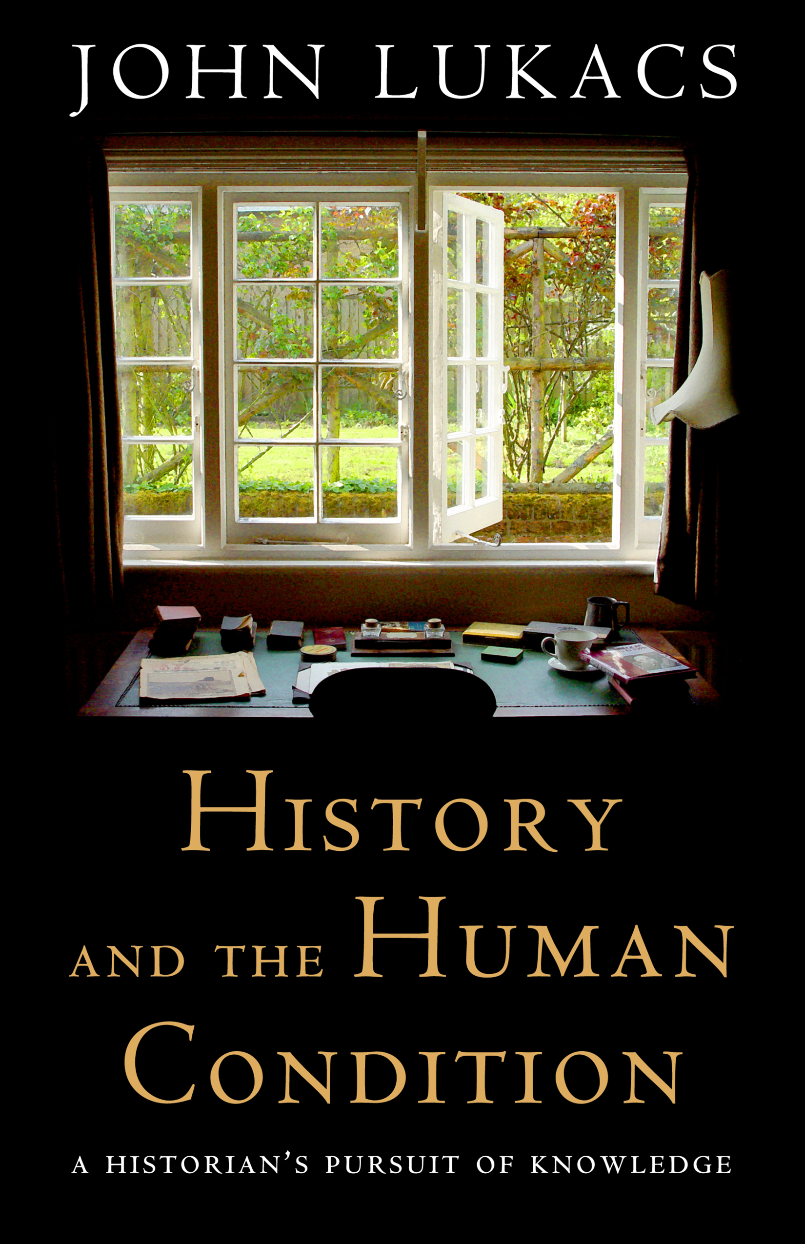 This image is the cover for the book History and the Human Condition
