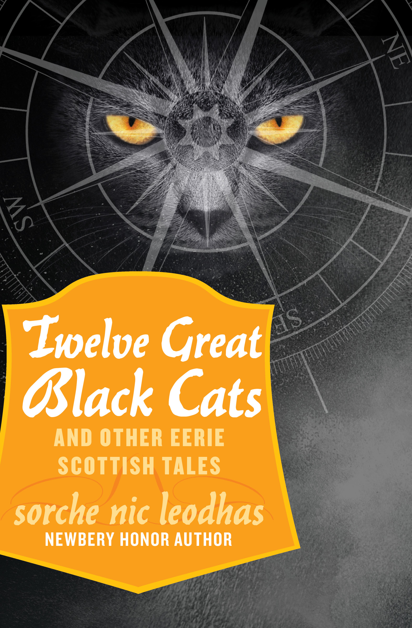 This image is the cover for the book Twelve Great Black Cats