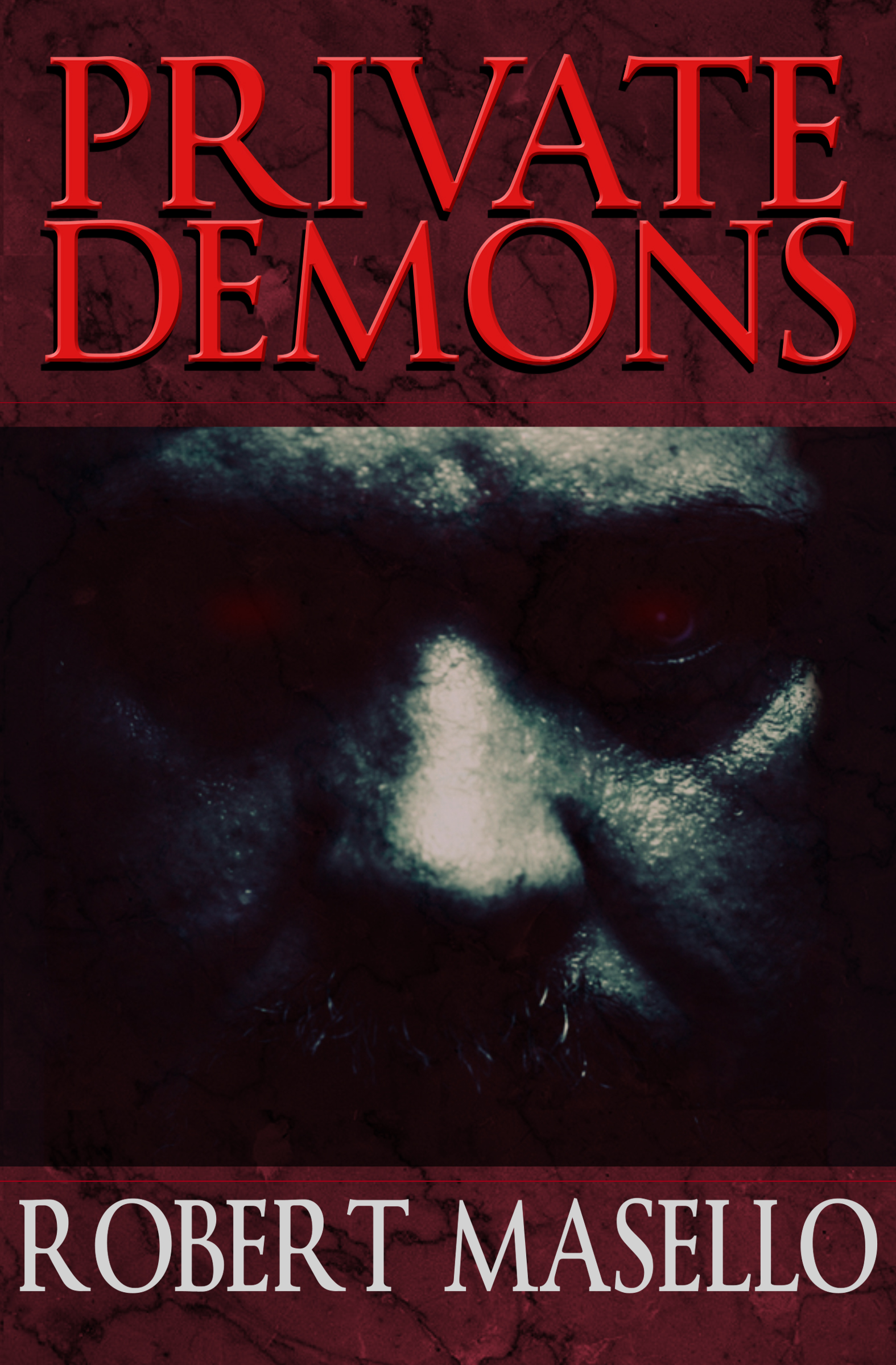 This image is the cover for the book Private Demons