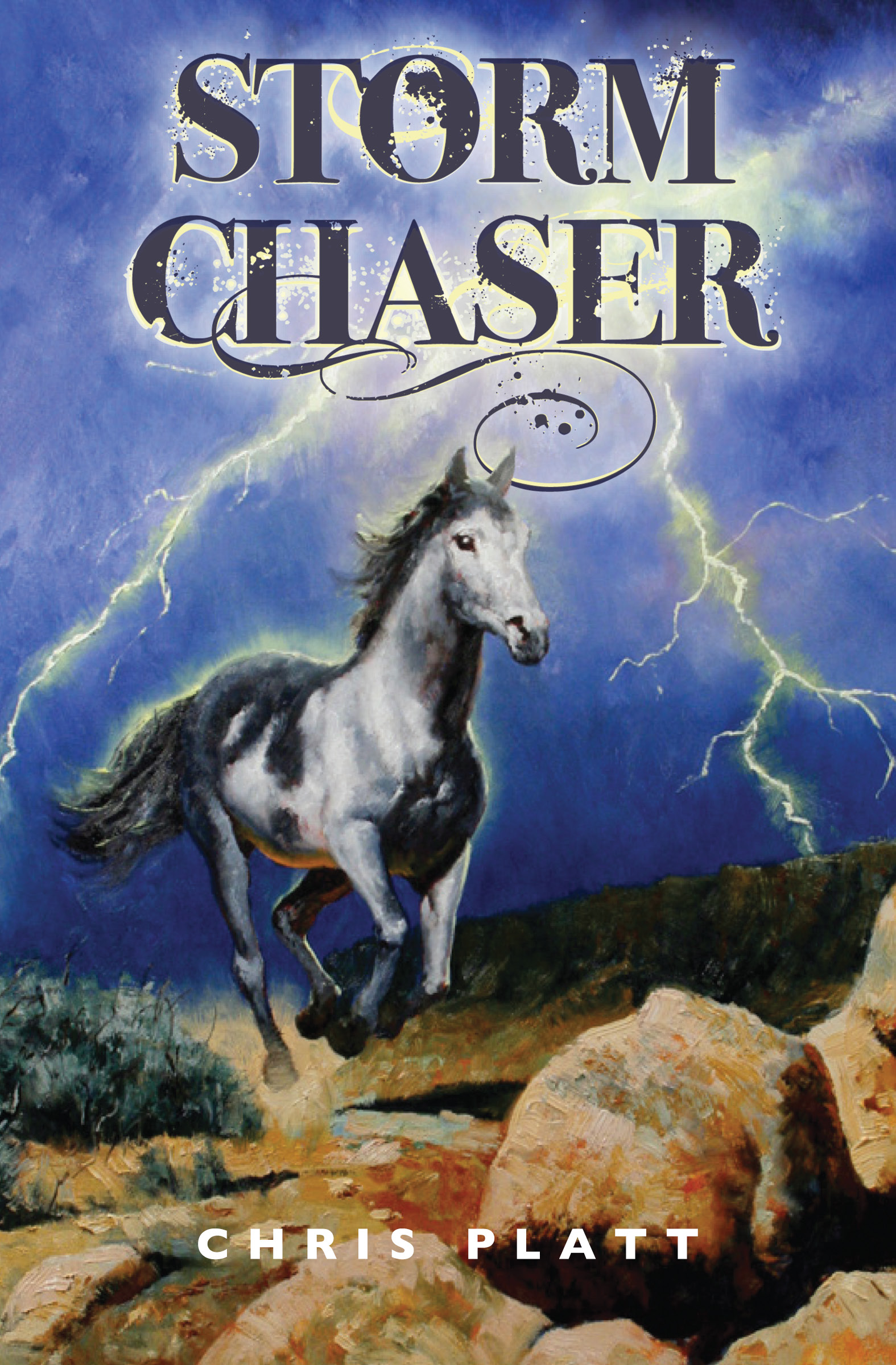 This image is the cover for the book Storm Chaser