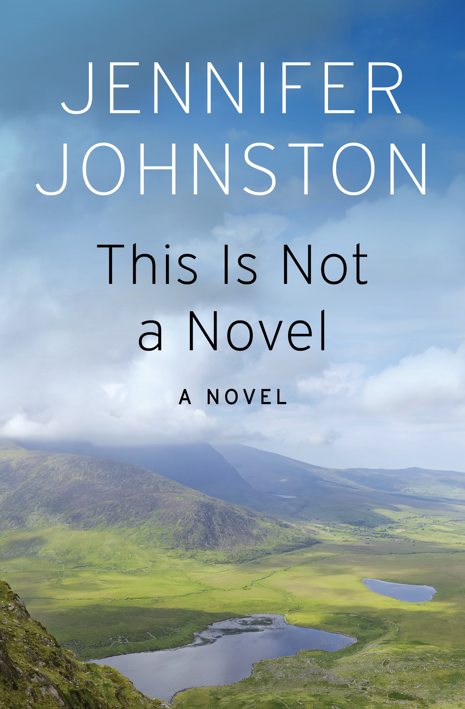 This image is the cover for the book This Is Not a Novel