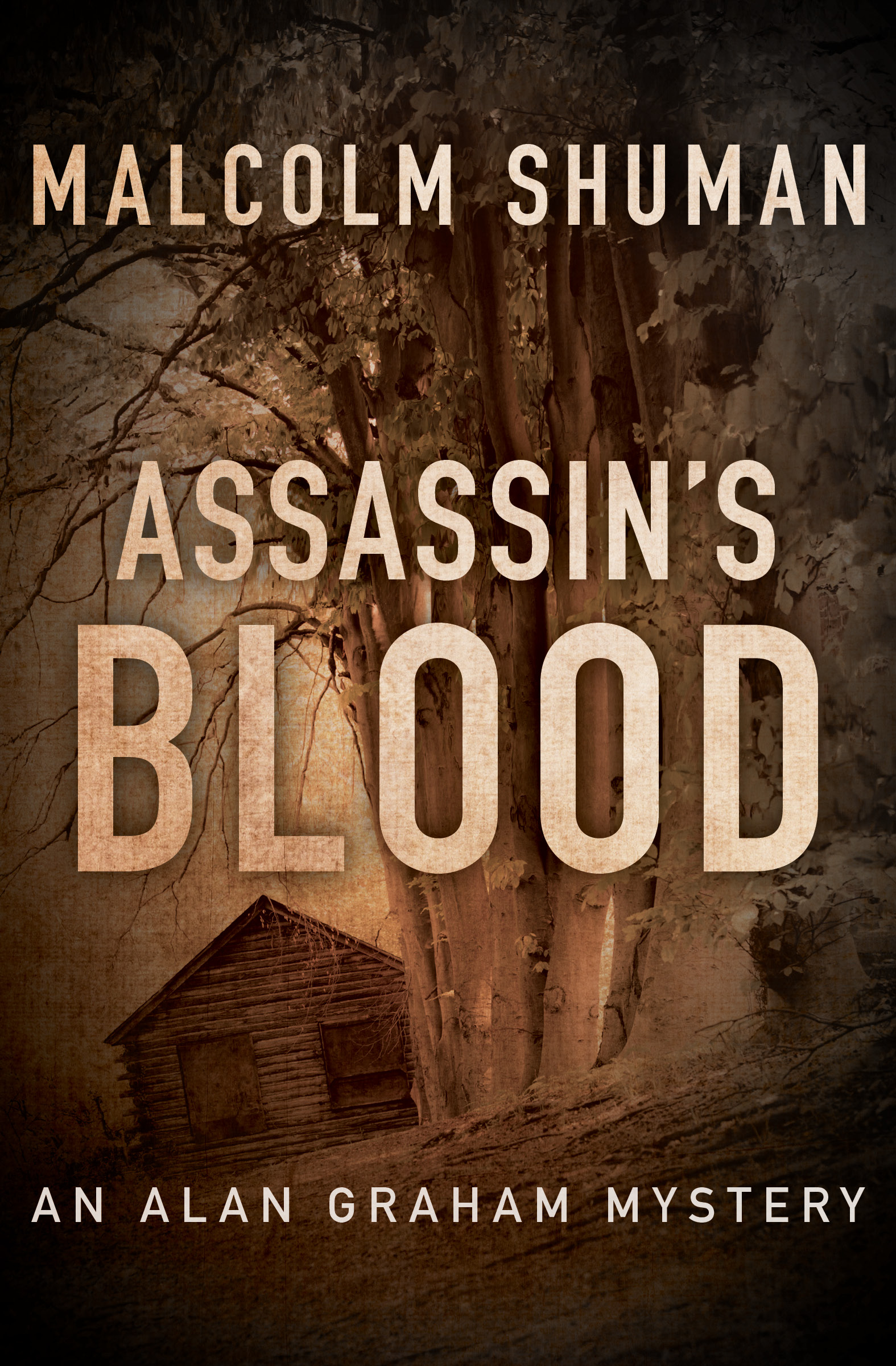 This image is the cover for the book Assassin's Blood, The Alan Graham Mysteries