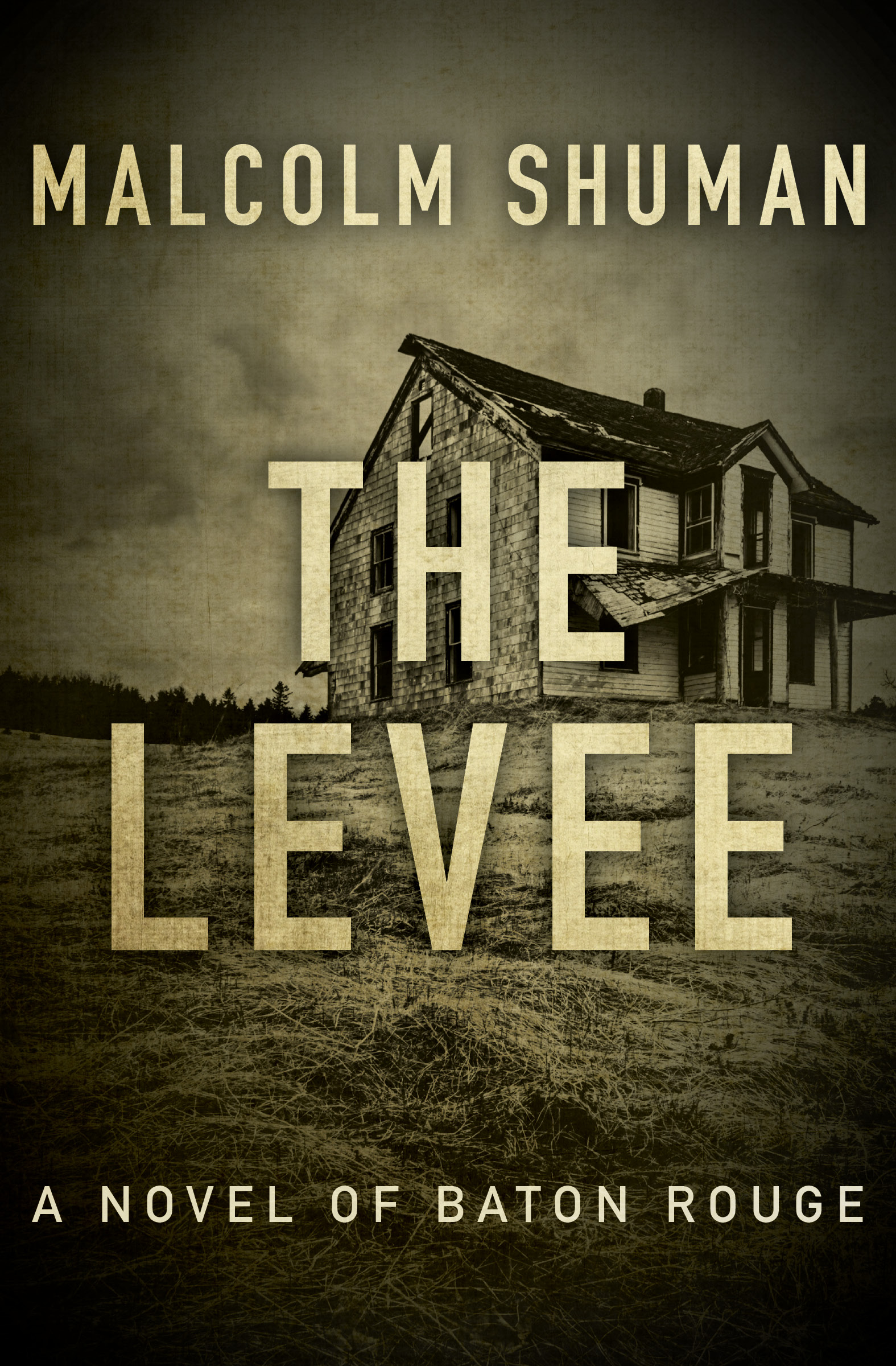 This image is the cover for the book Levee