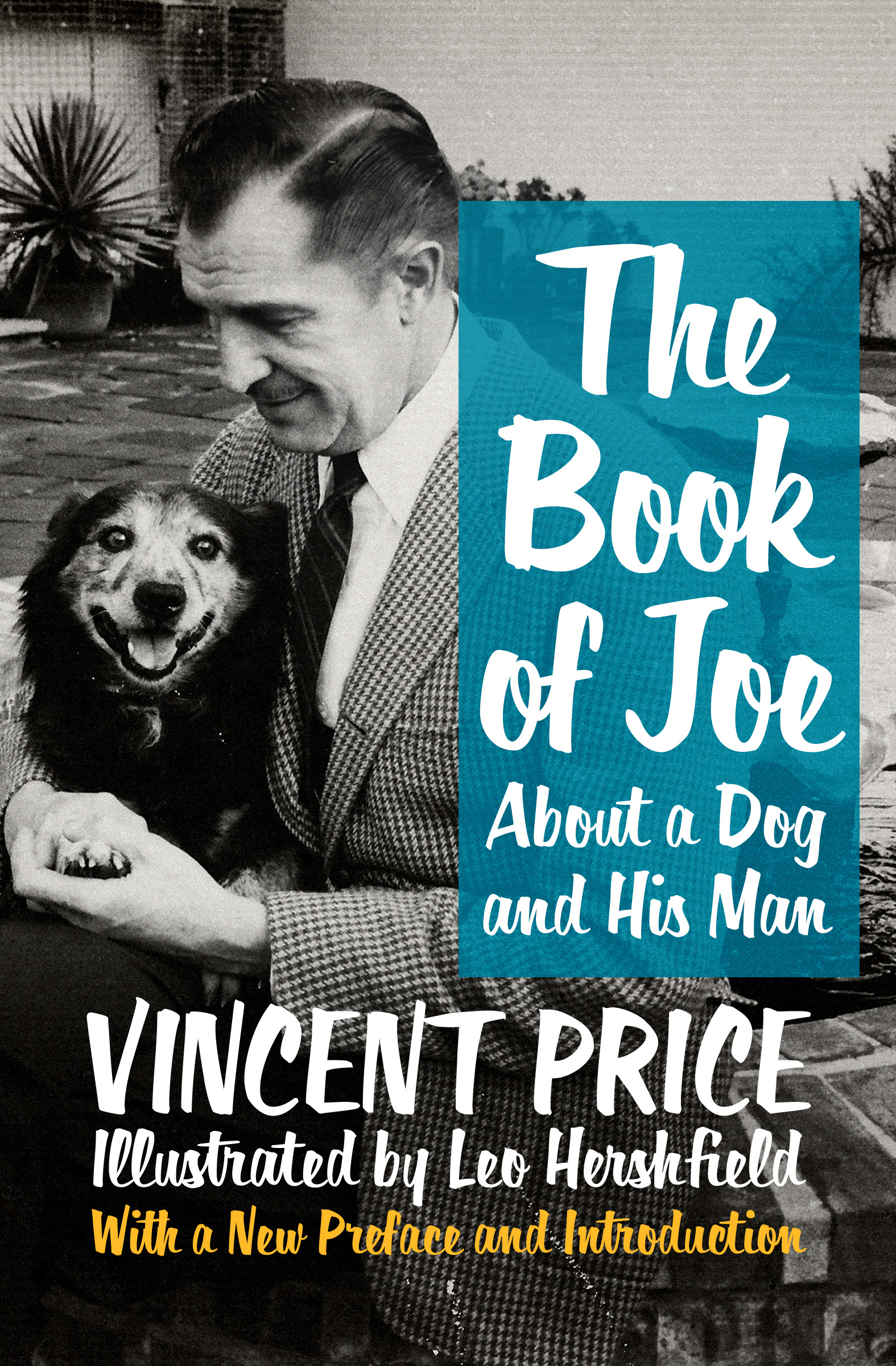 This image is the cover for the book Book of Joe