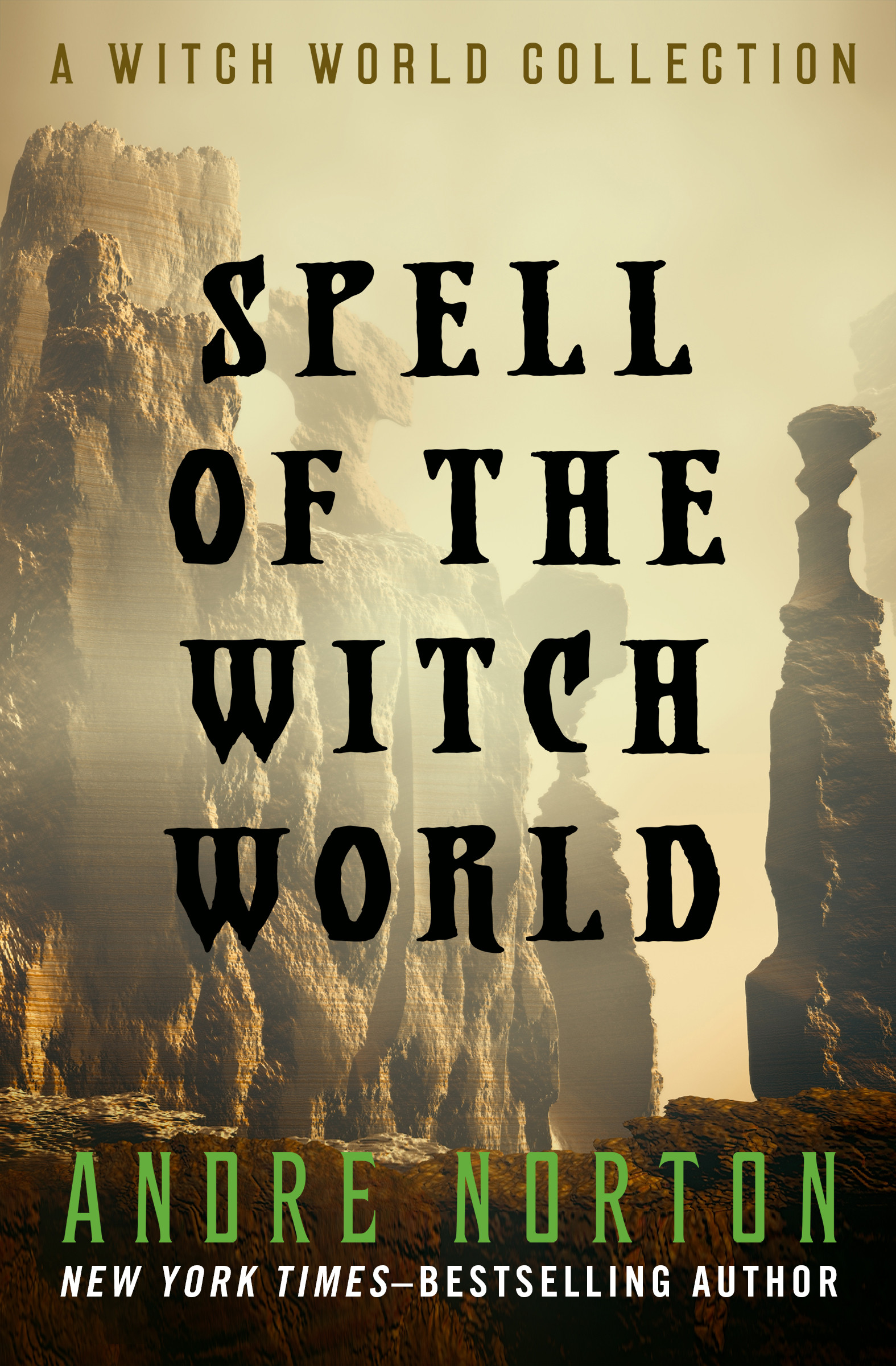 This image is the cover for the book Spell of the Witch World, Witch World