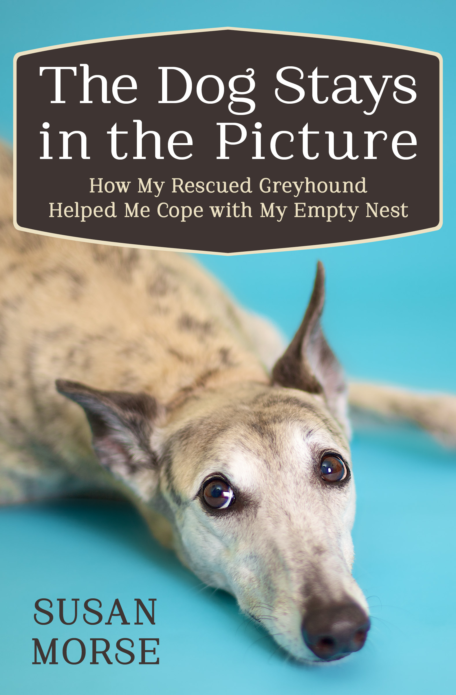 This image is the cover for the book Dog Stays in the Picture