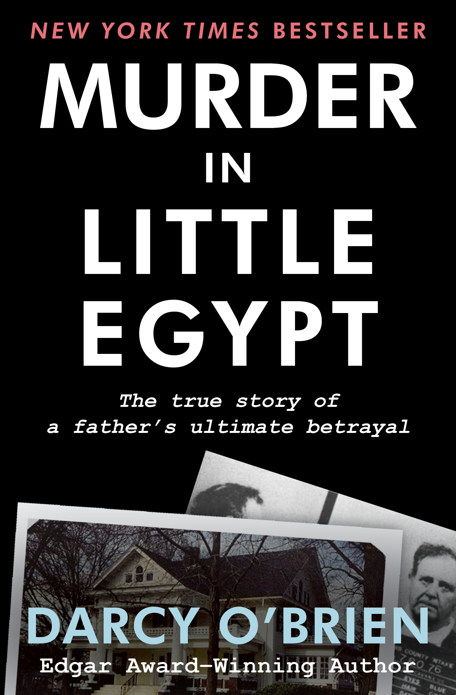 This image is the cover for the book Murder in Little Egypt