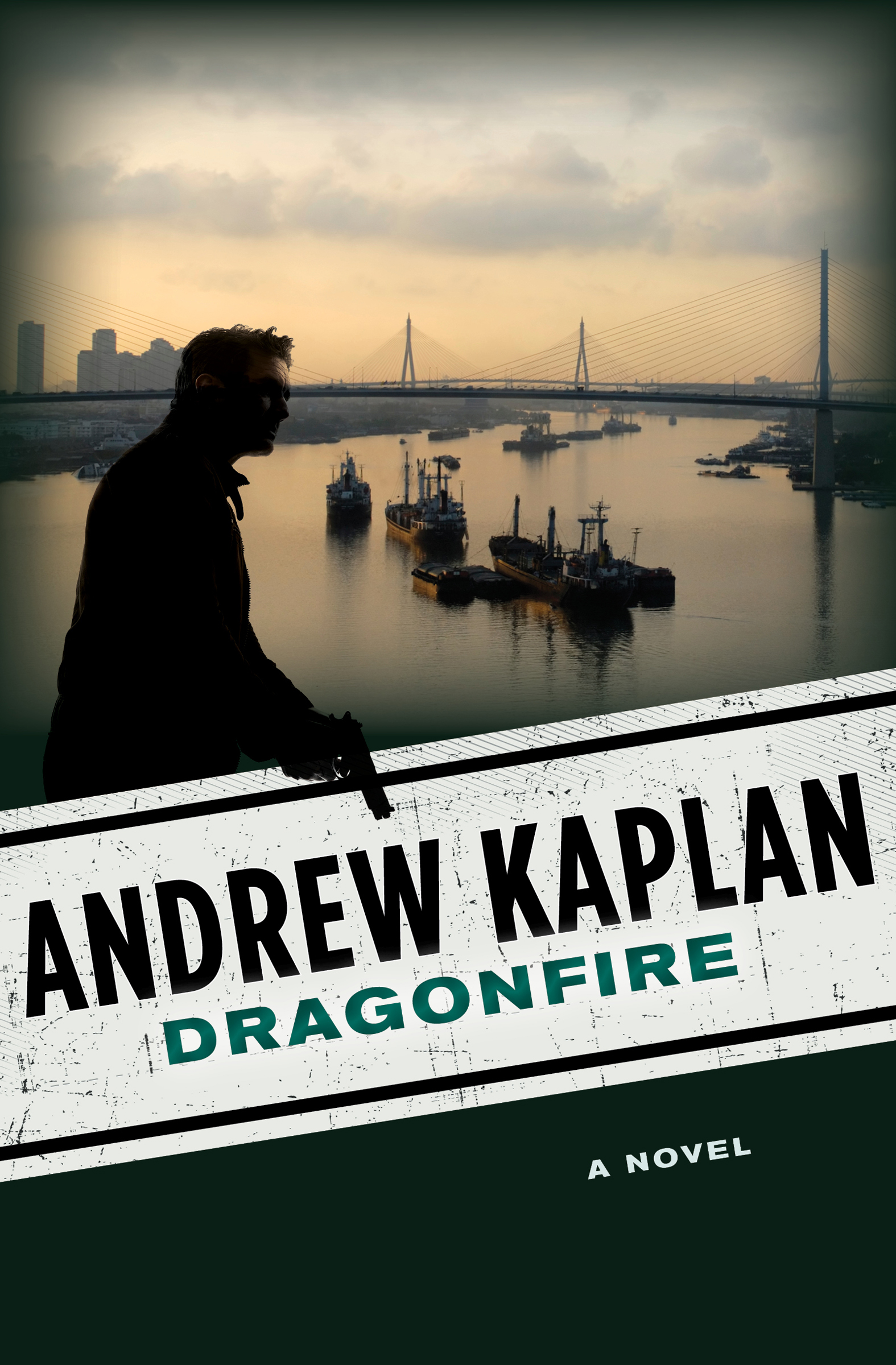 This image is the cover for the book Dragonfire