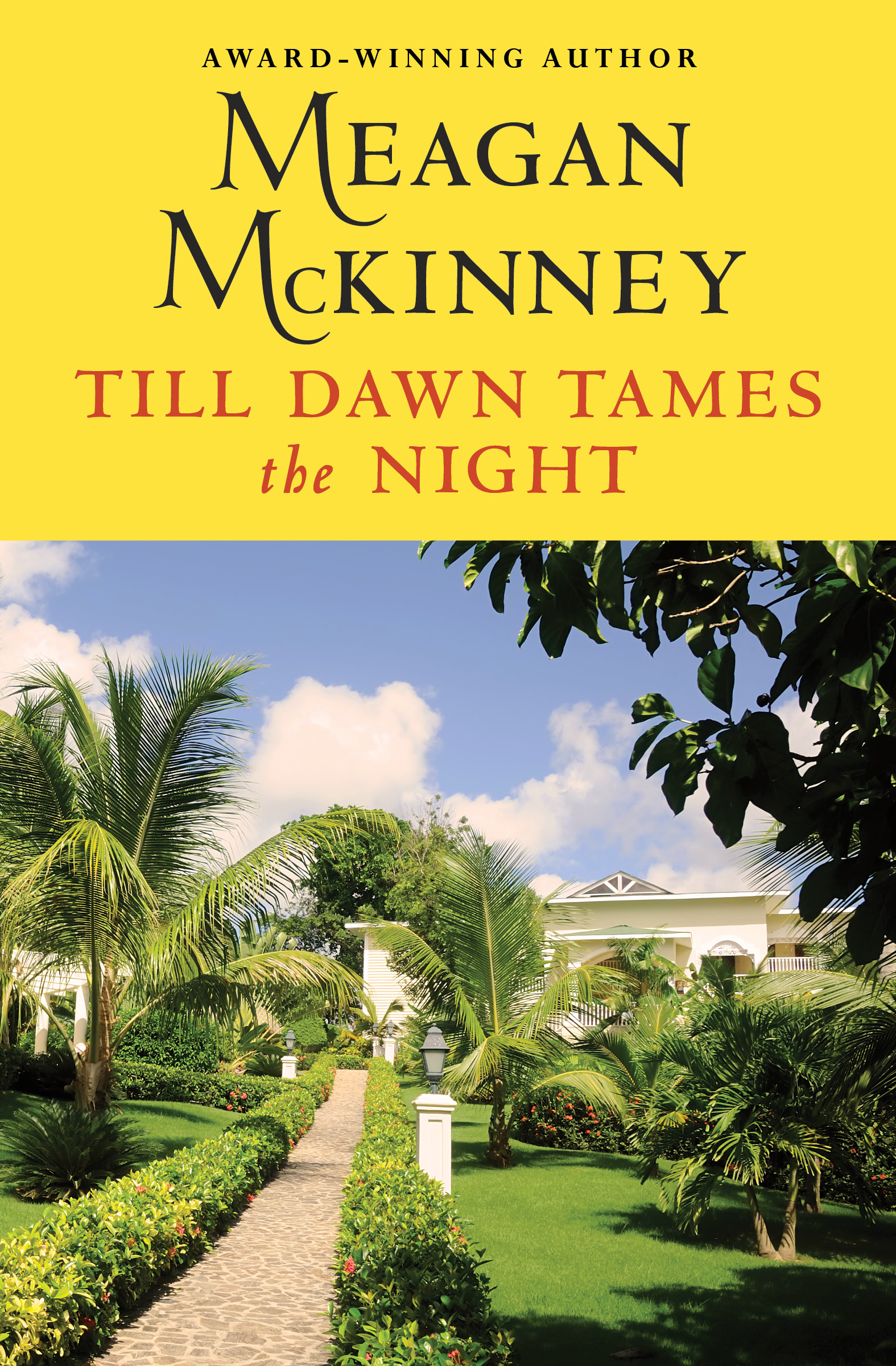 This image is the cover for the book Till Dawn Tames the Night