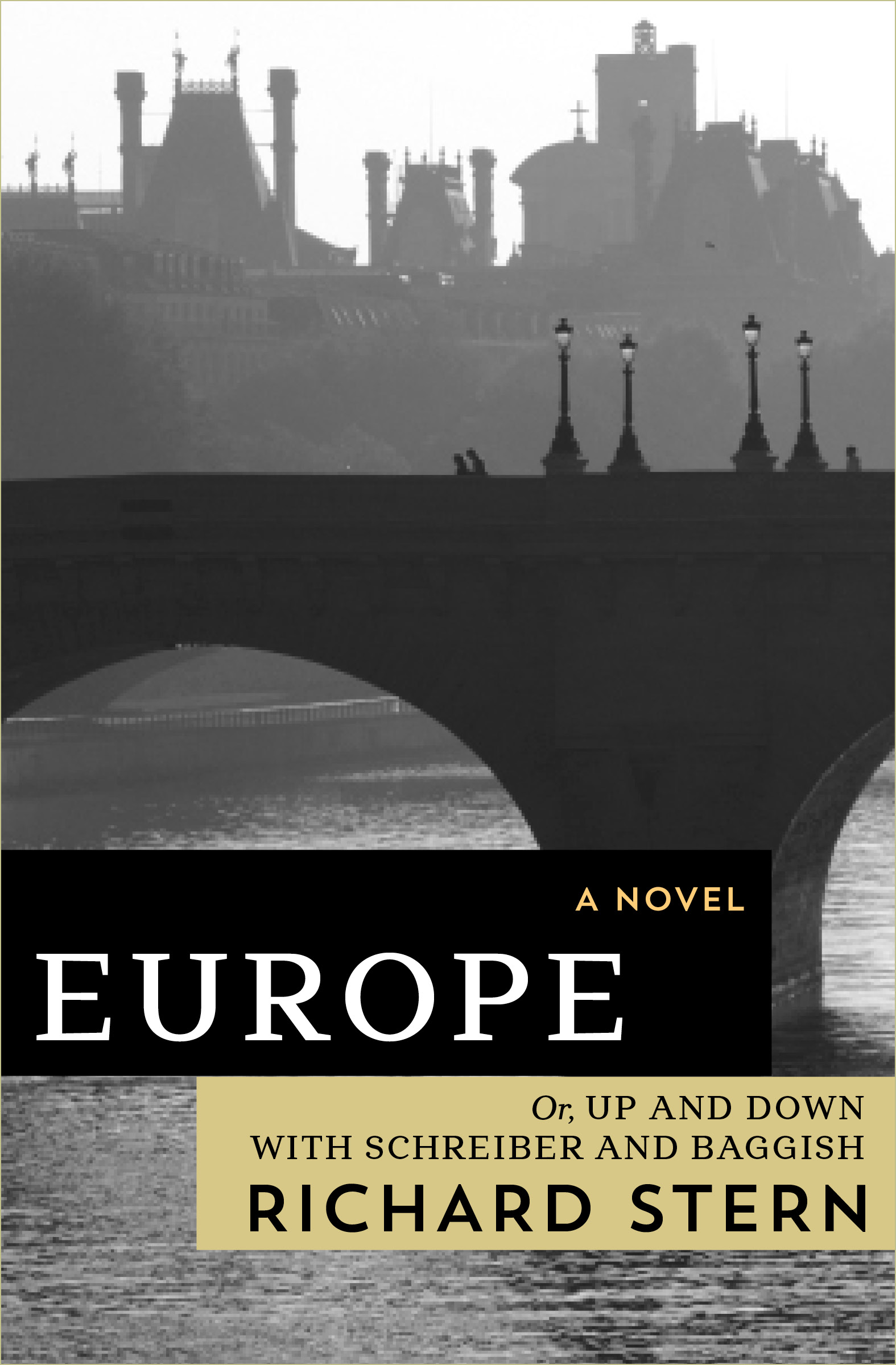 This image is the cover for the book Europe