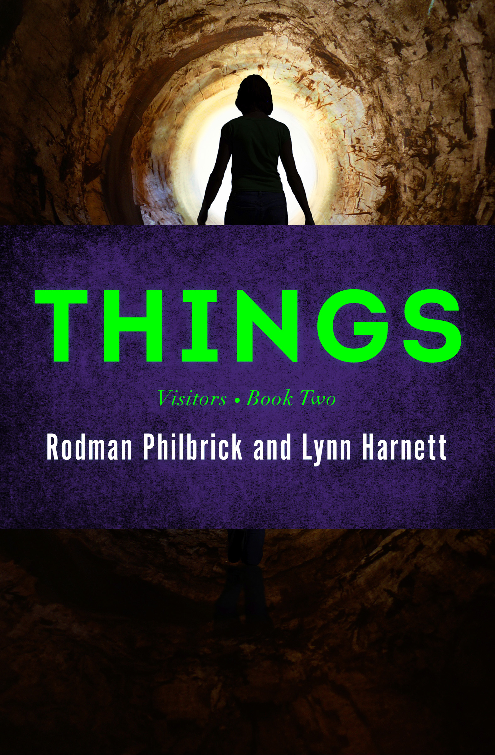 This image is the cover for the book Things, Visitors