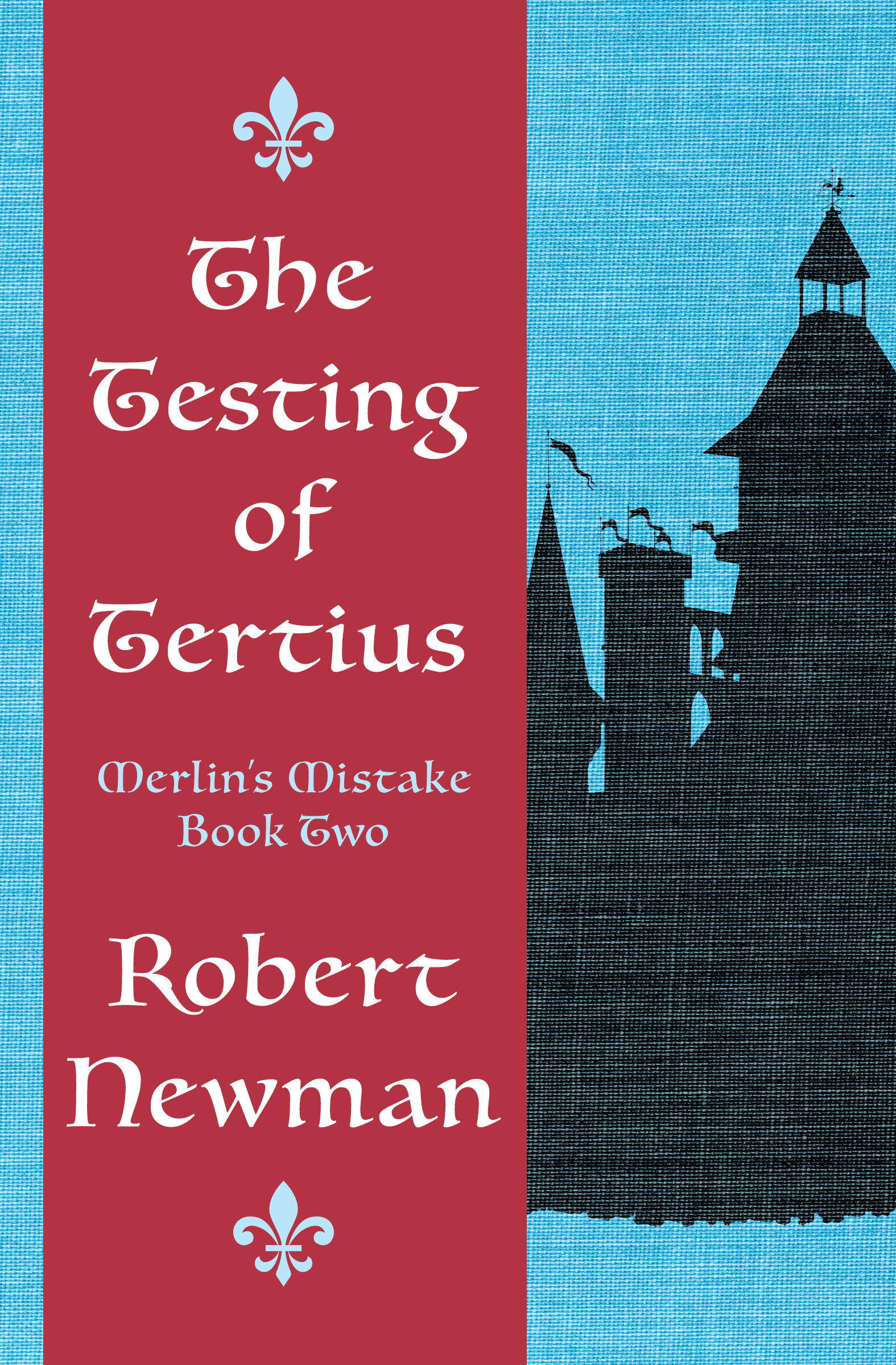 This image is the cover for the book Testing of Tertius, Merlin's Mistake