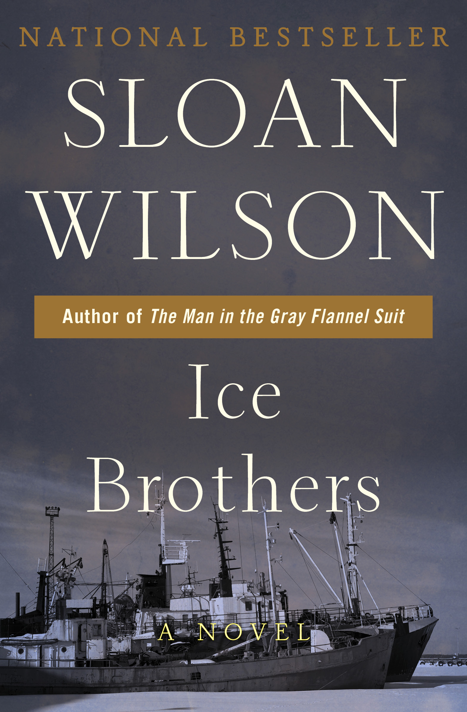 This image is the cover for the book Ice Brothers