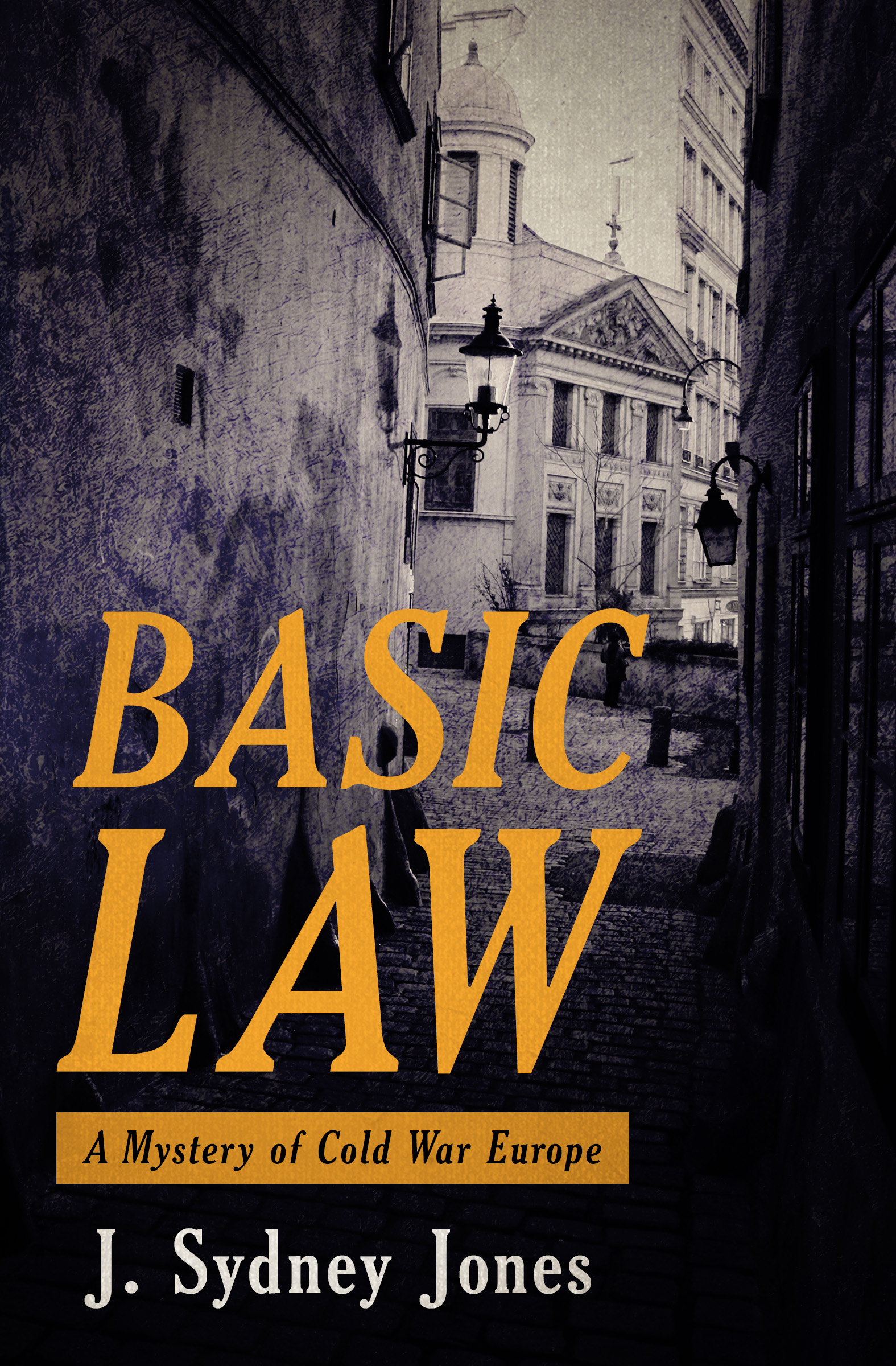 This image is the cover for the book Basic Law