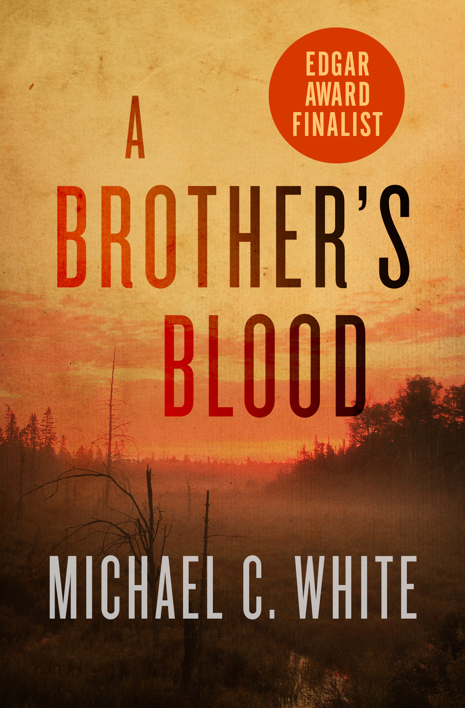 This image is the cover for the book Brother's Blood