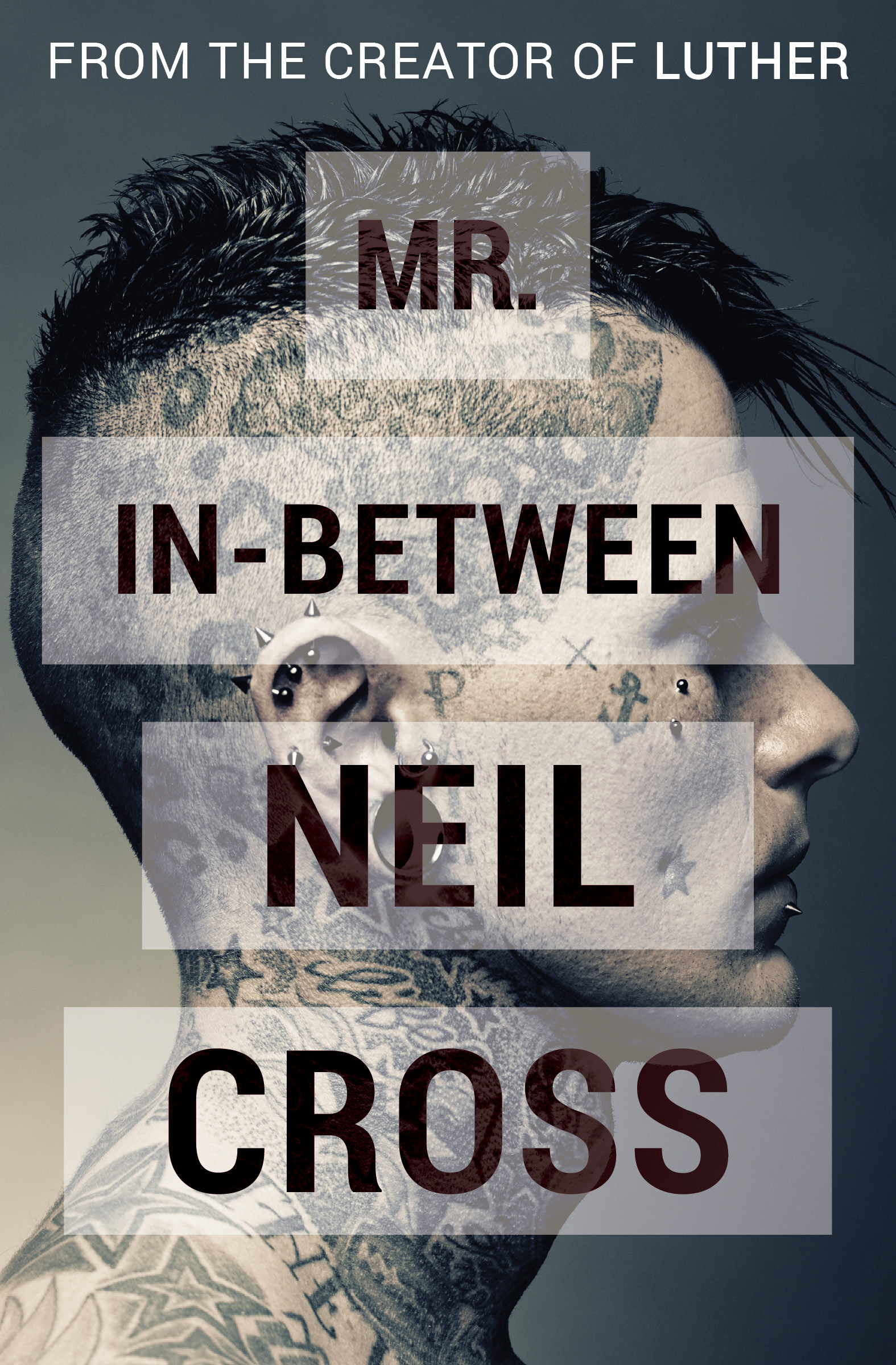 This image is the cover for the book Mr. In-Between
