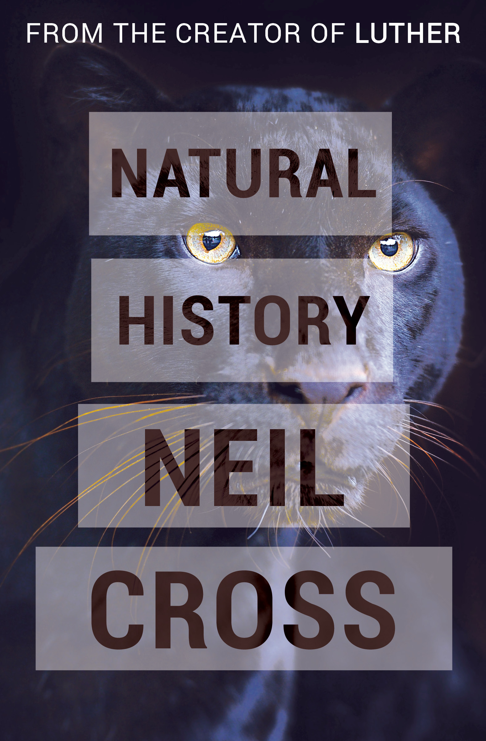 This image is the cover for the book Natural History