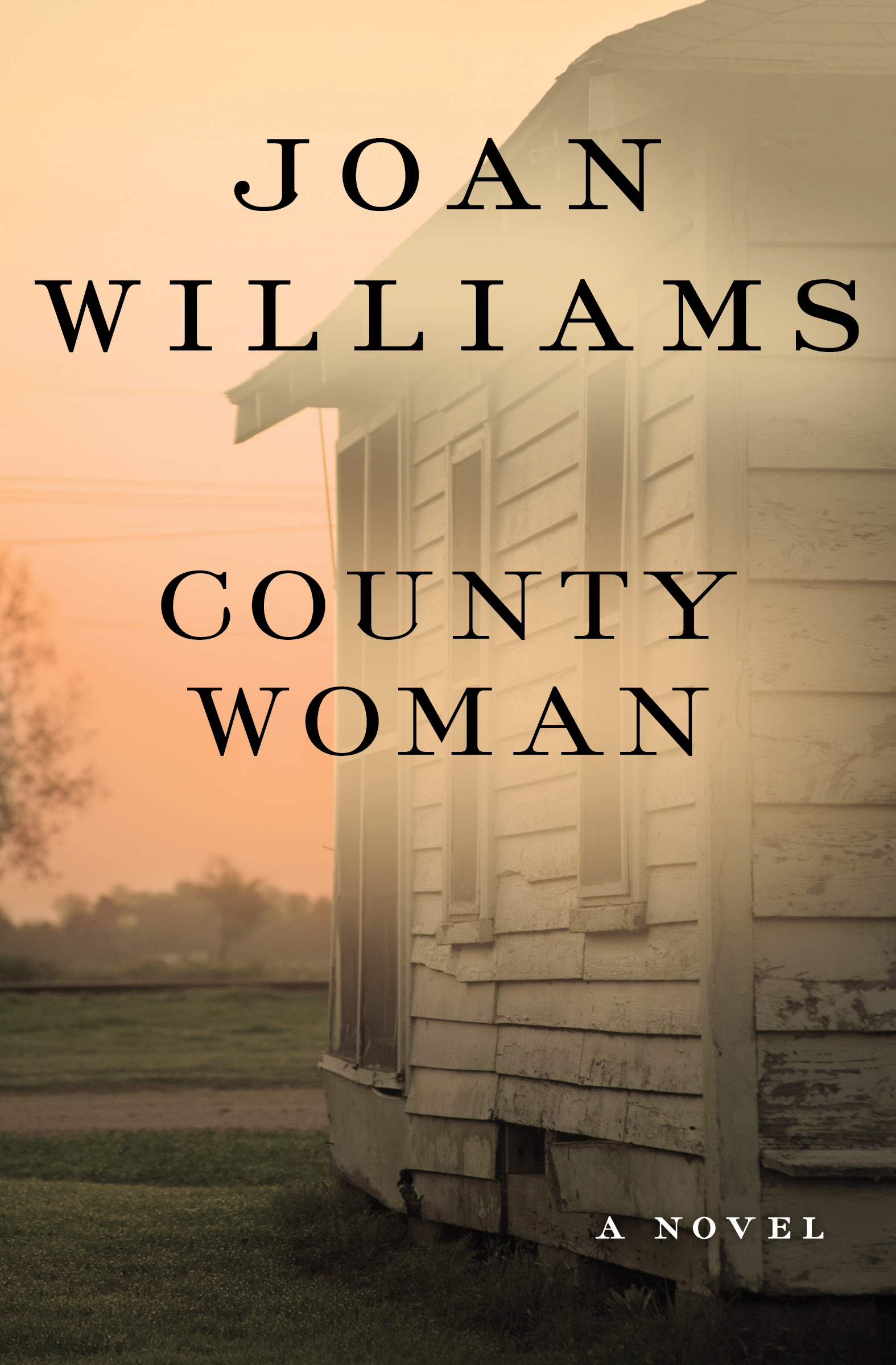 This image is the cover for the book County Woman