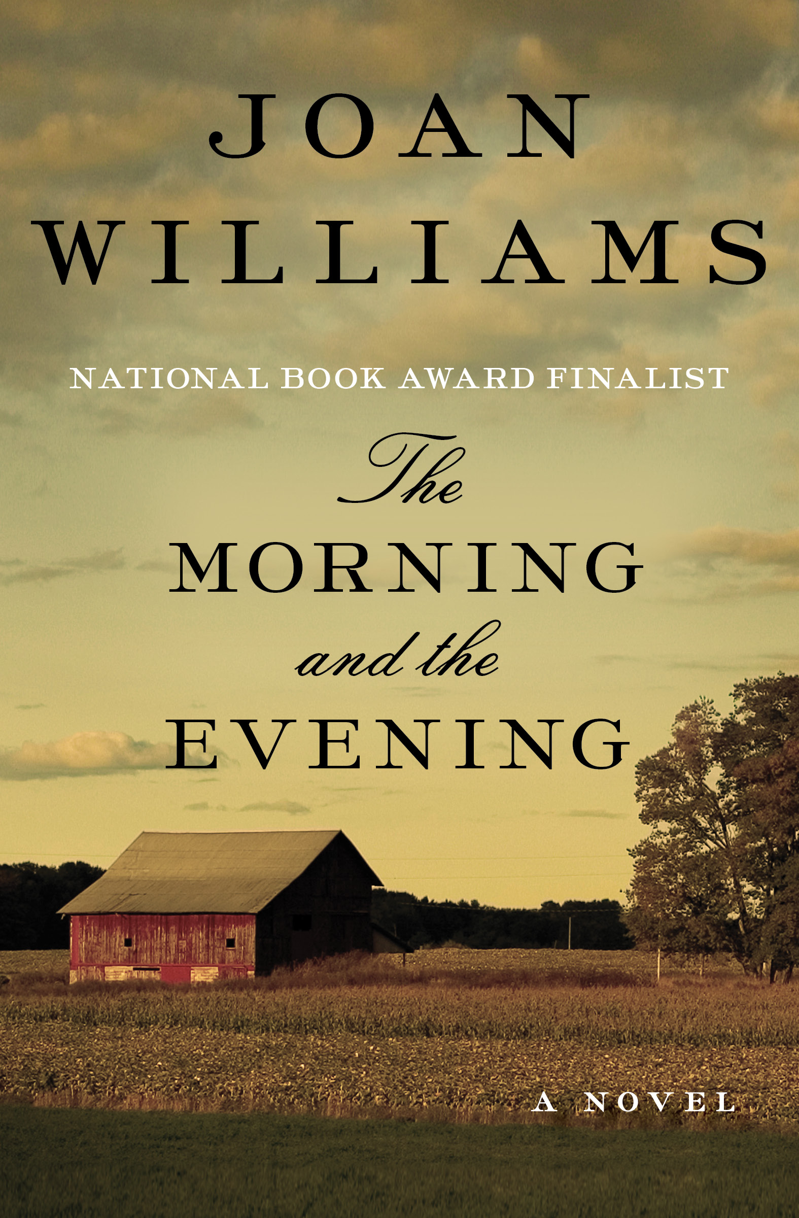 This image is the cover for the book Morning and the Evening