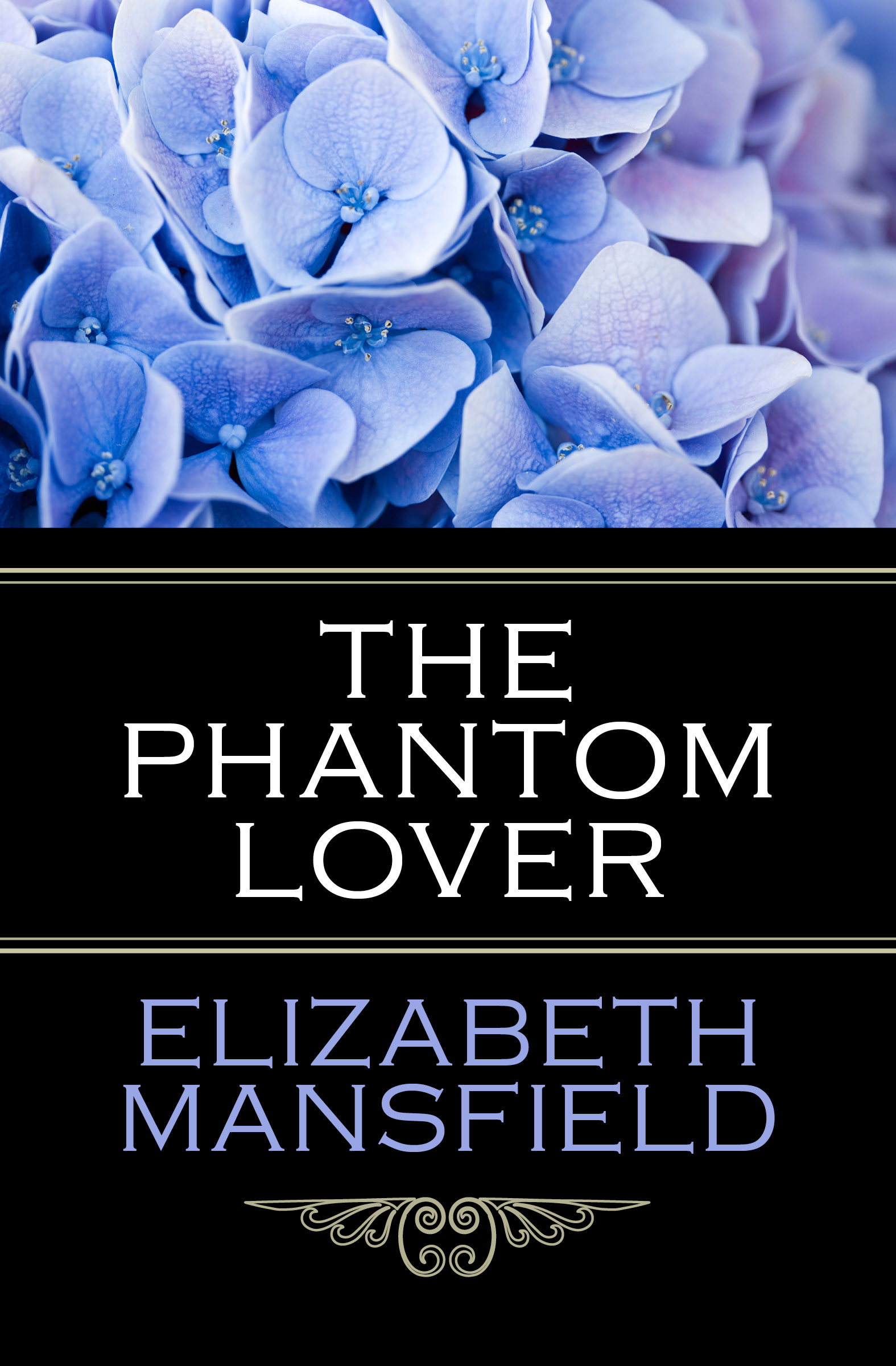This image is the cover for the book Phantom Lover