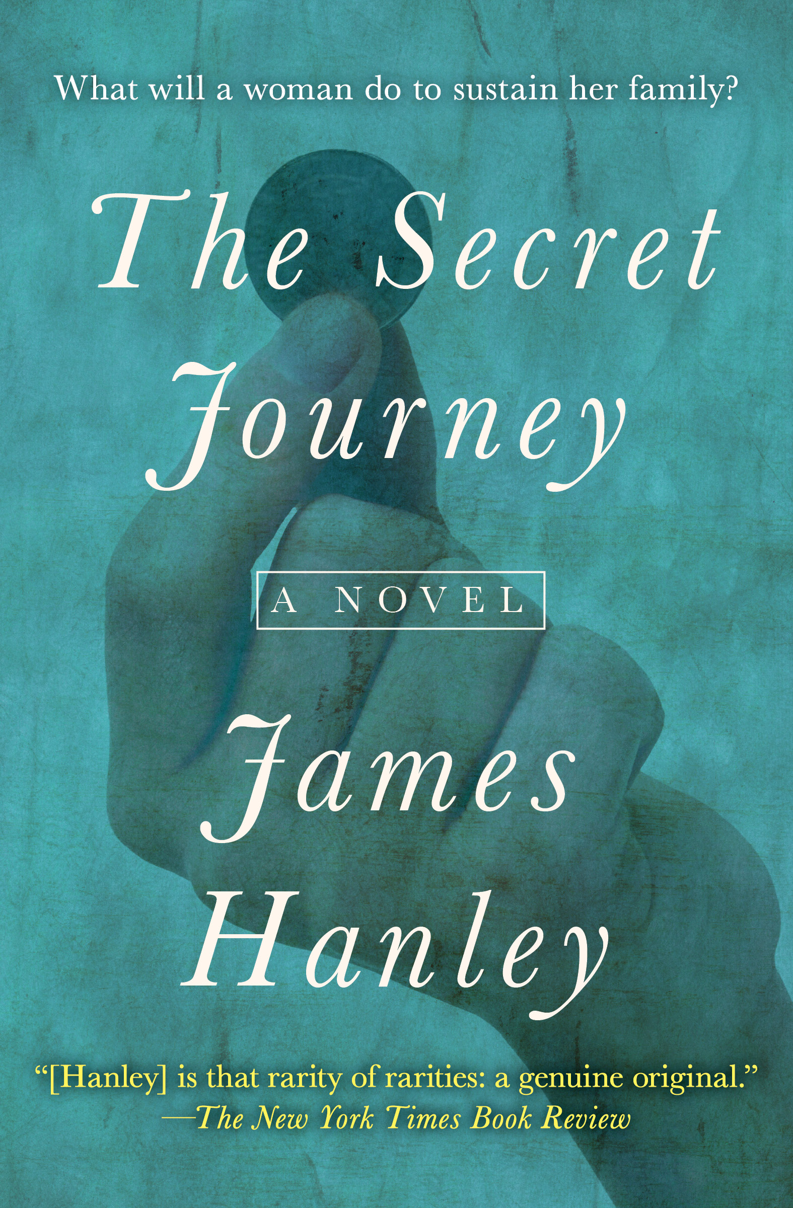 This image is the cover for the book Secret Journey, The Furys Saga