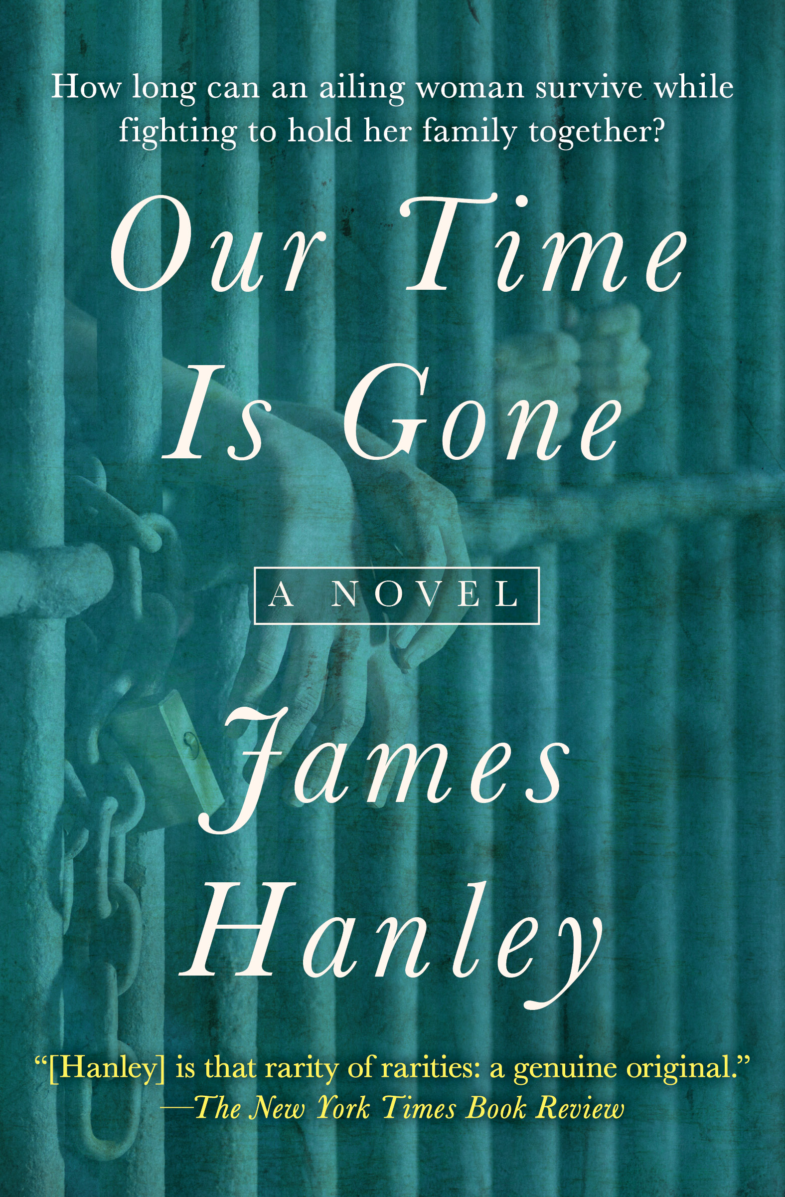 This image is the cover for the book Our Time Is Gone, The Furys Saga