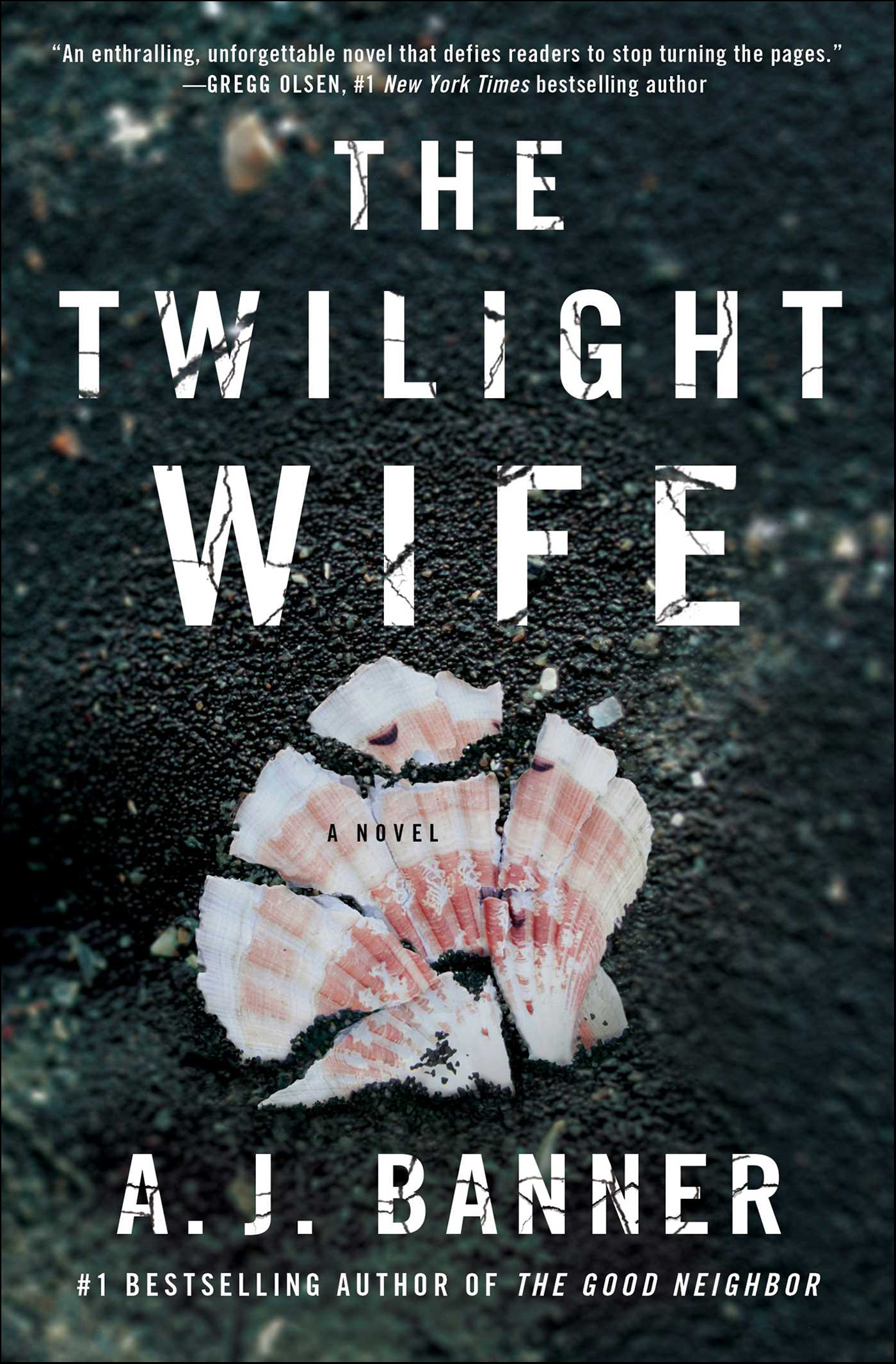 This image is the cover for the book Twilight Wife