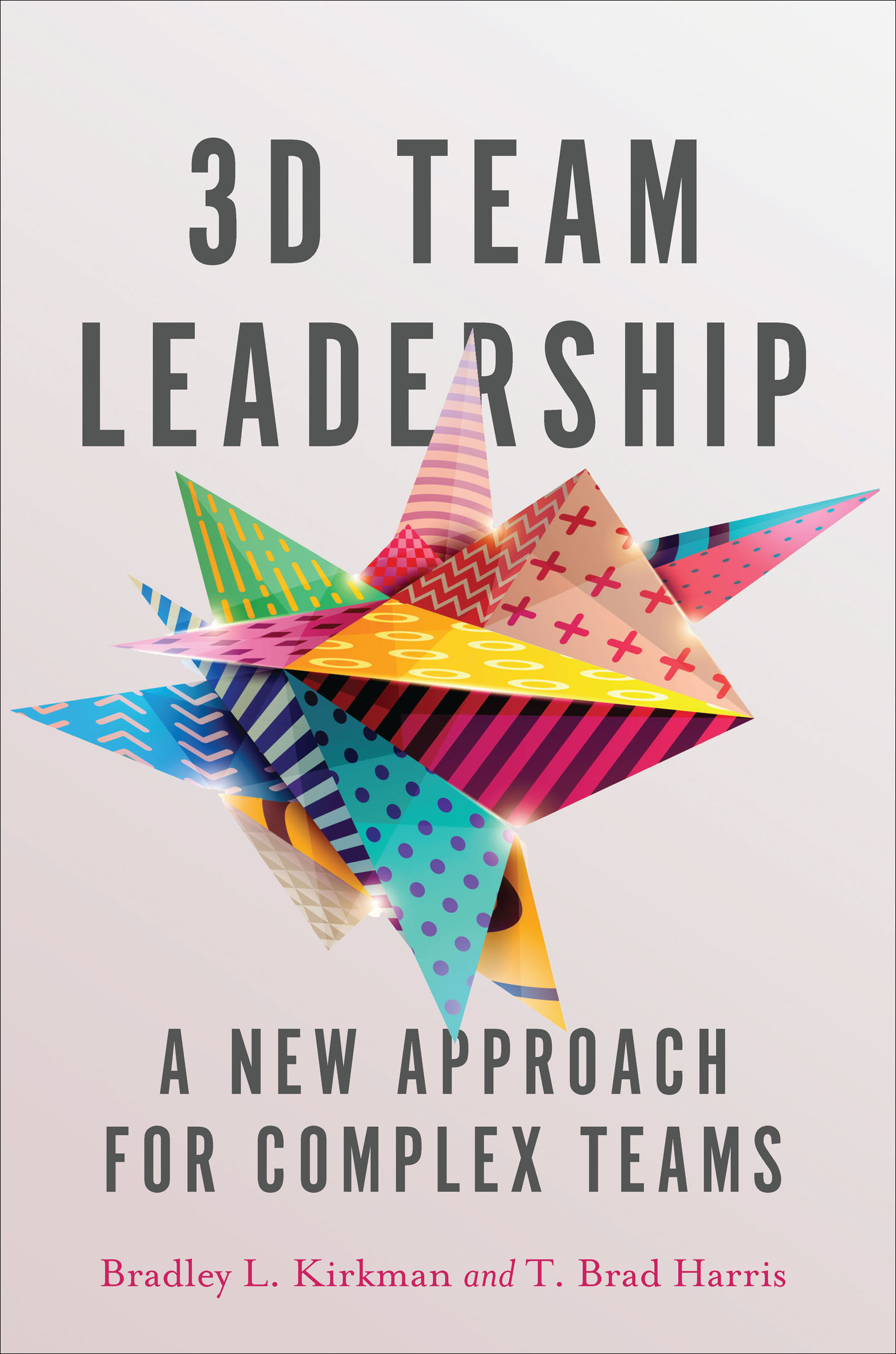 This image is the cover for the book 3D Team Leadership