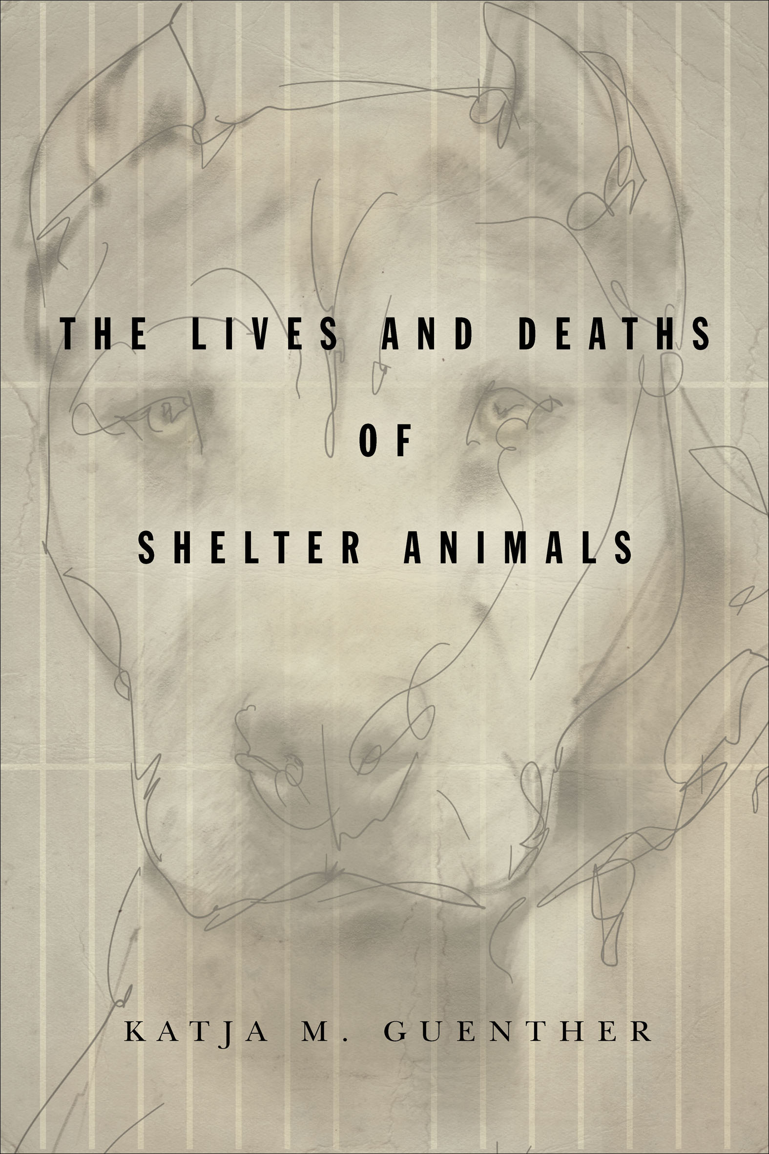 This image is the cover for the book Lives and Deaths of Shelter Animals