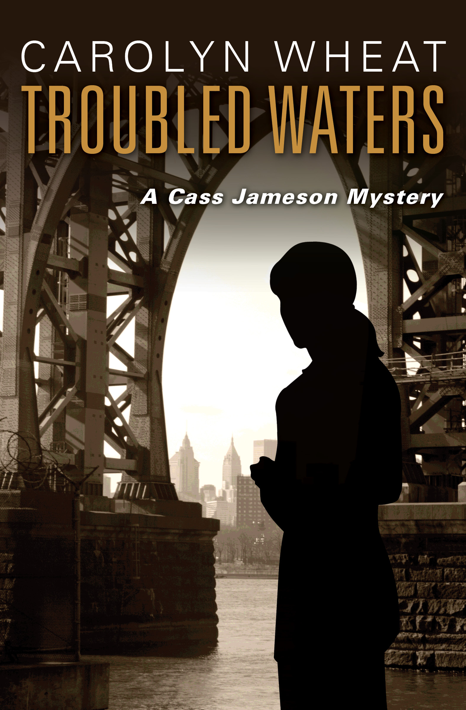 This image is the cover for the book Troubled Waters, The Cass Jameson Mysteries