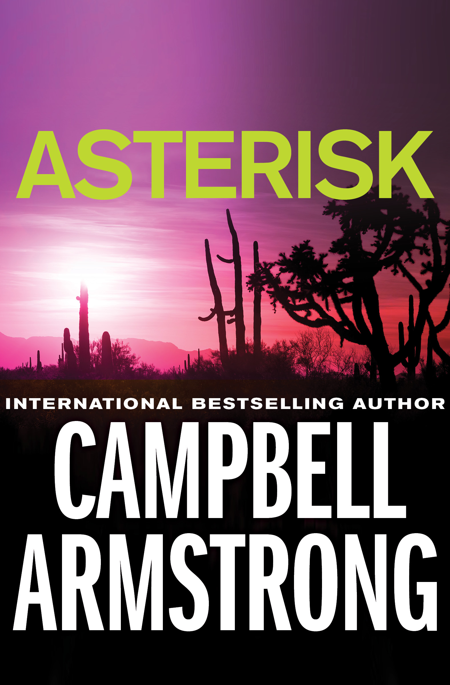 This image is the cover for the book Asterisk