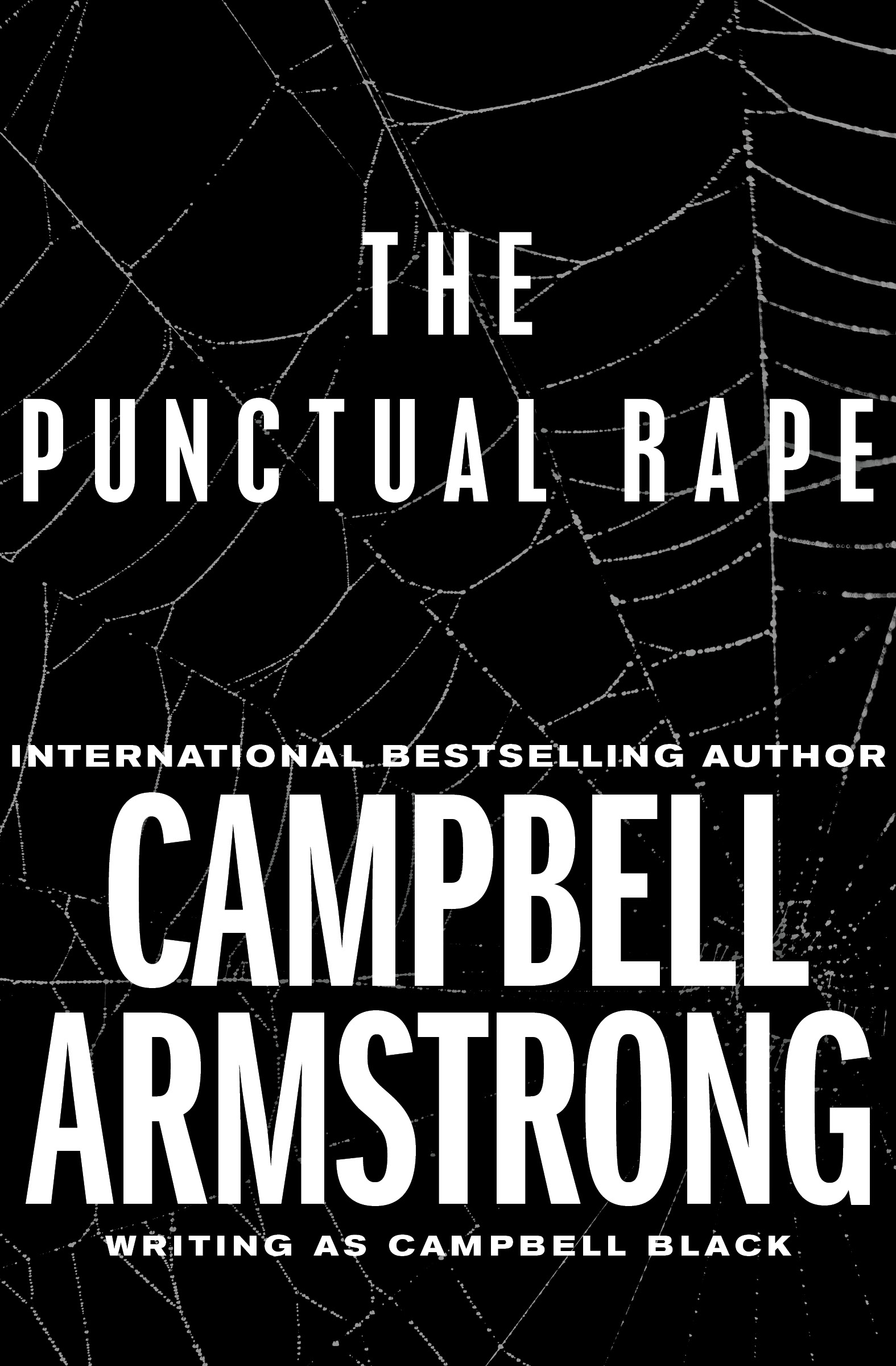 This image is the cover for the book Punctual Rape