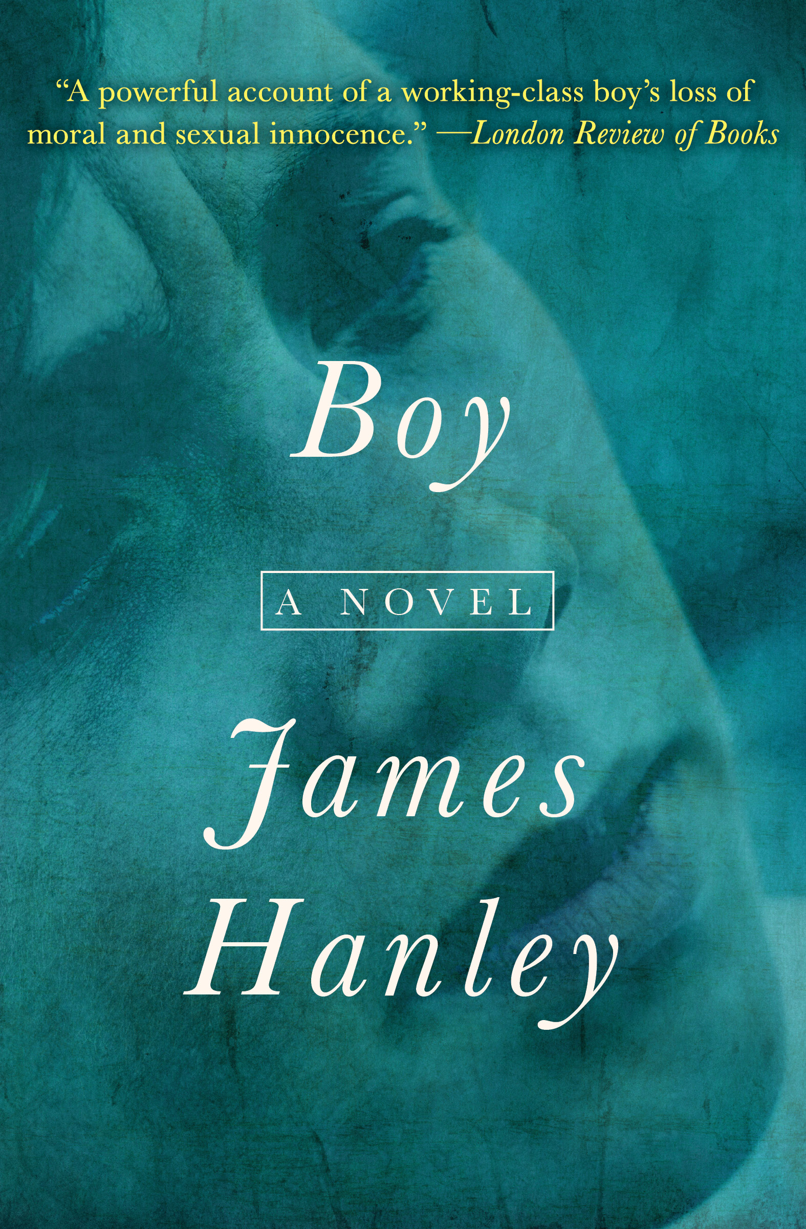 This image is the cover for the book Boy