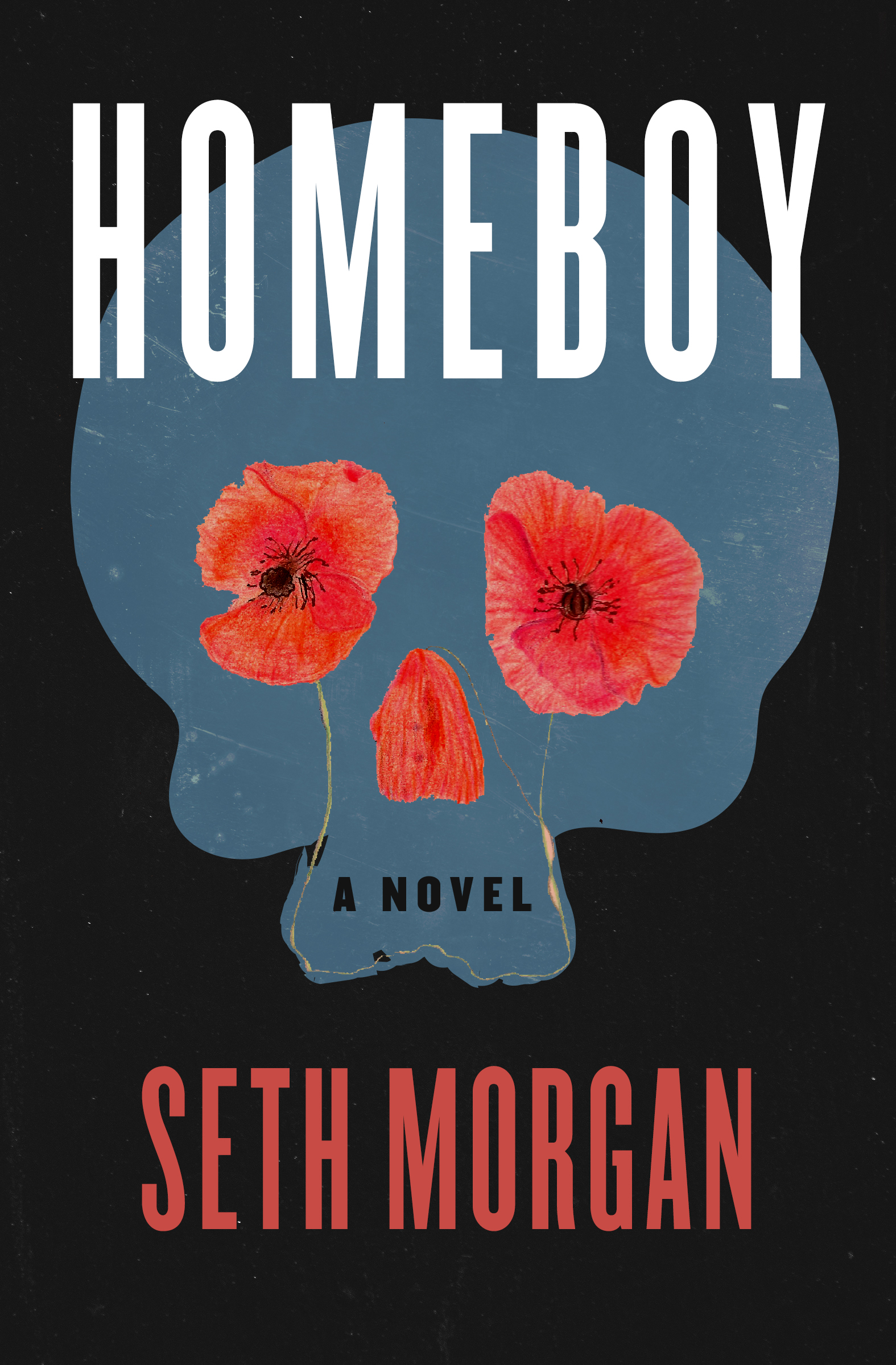 This image is the cover for the book Homeboy