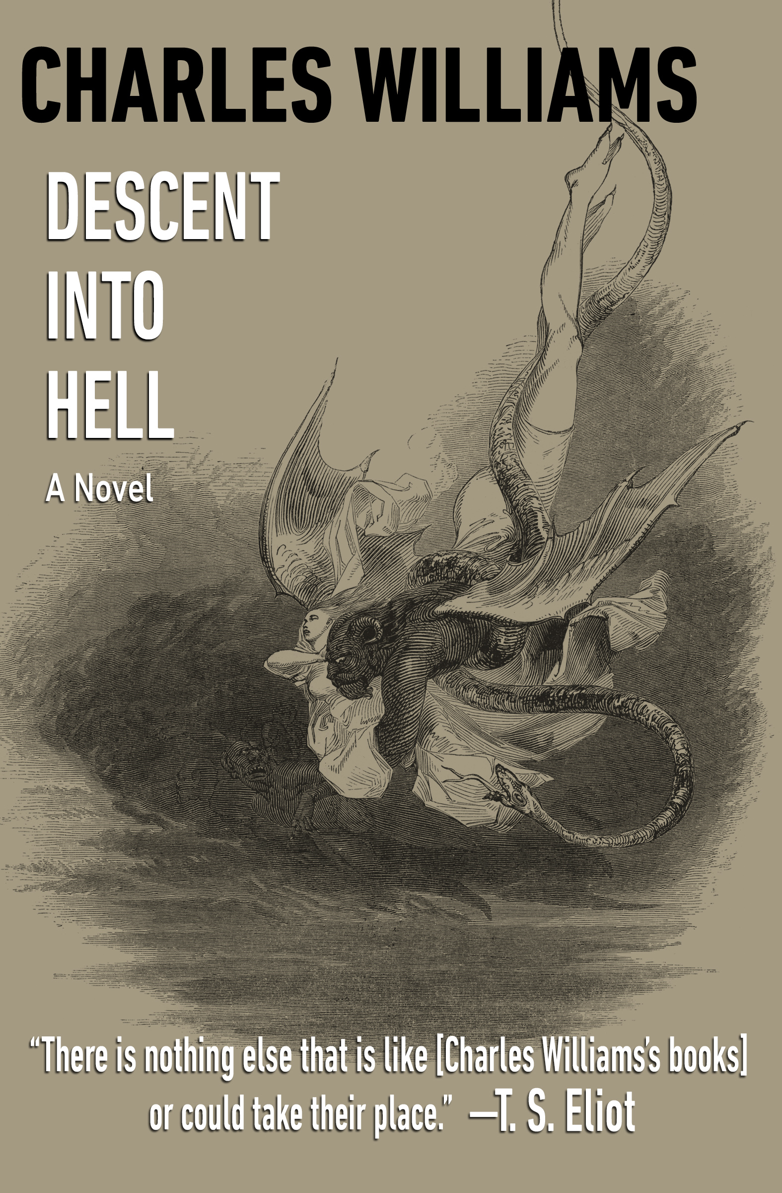 This image is the cover for the book Descent into Hell