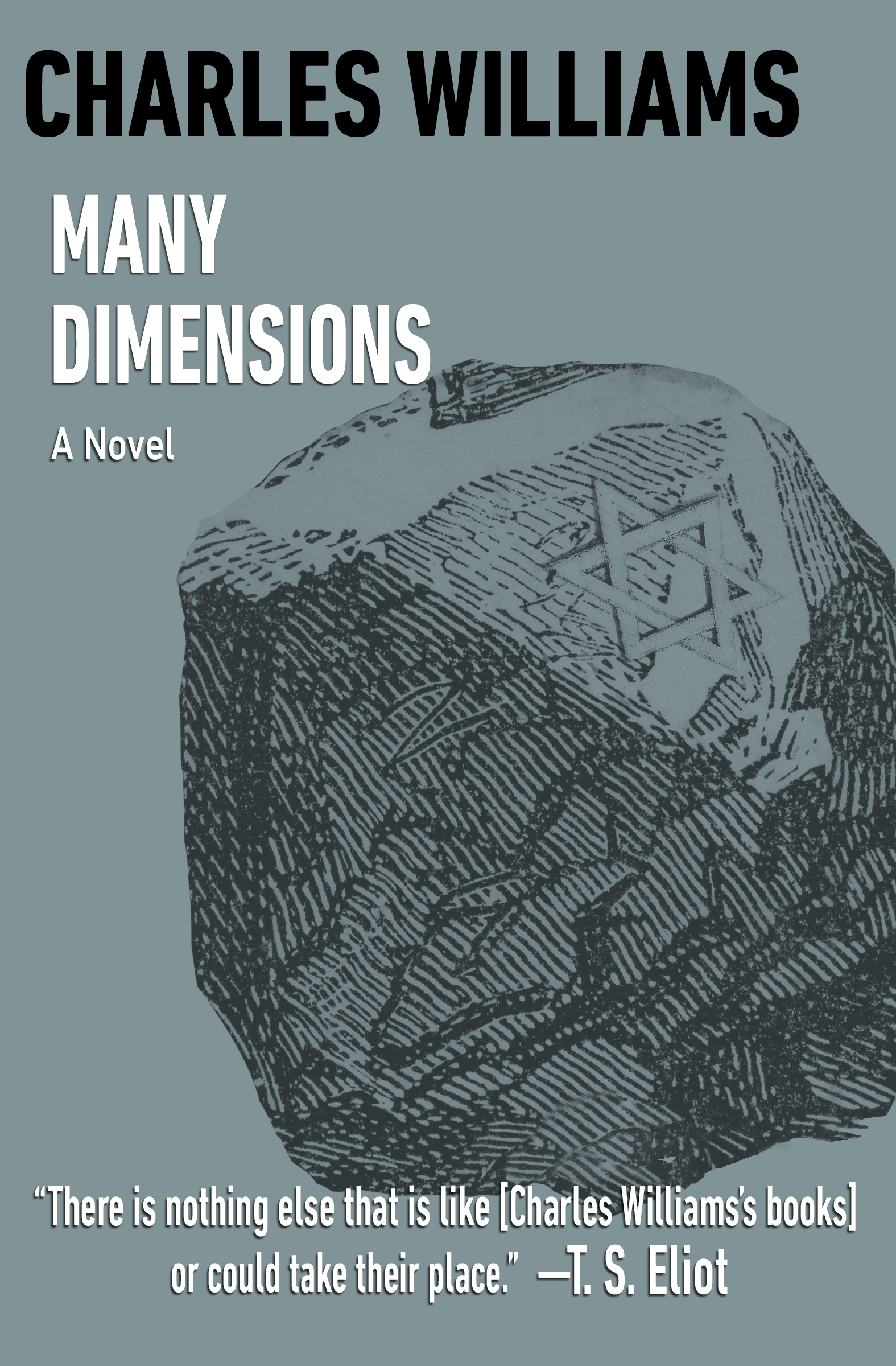 This image is the cover for the book Many Dimensions
