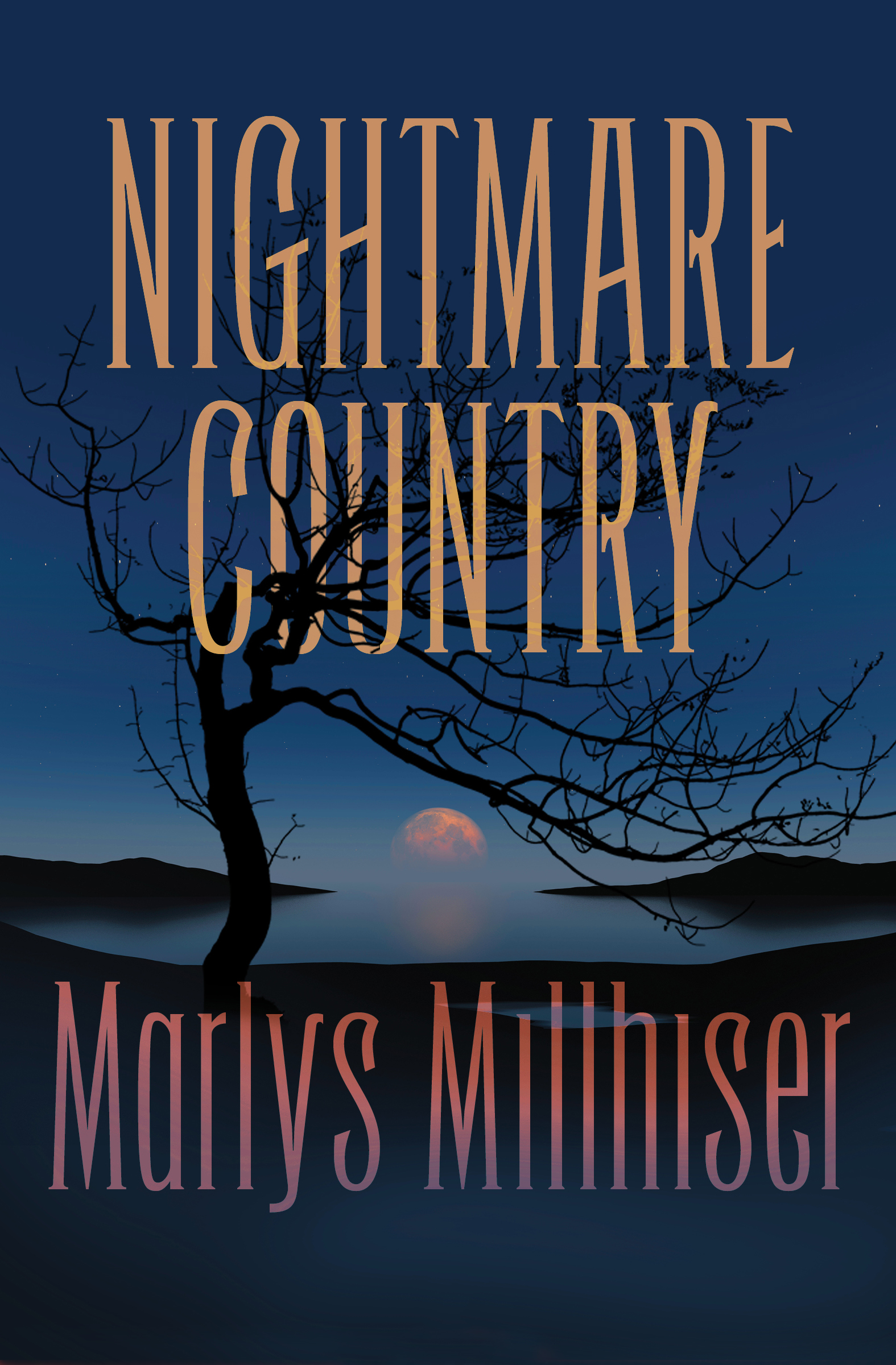 This image is the cover for the book Nightmare Country