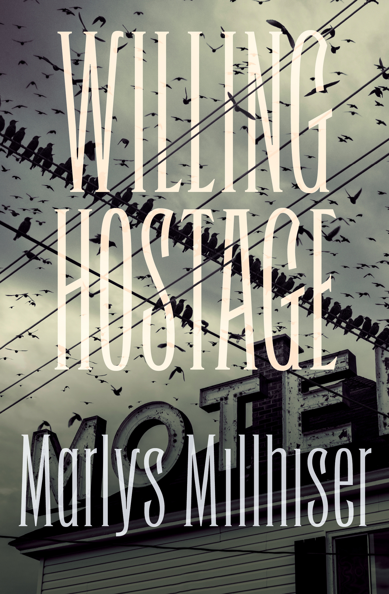 This image is the cover for the book Willing Hostage