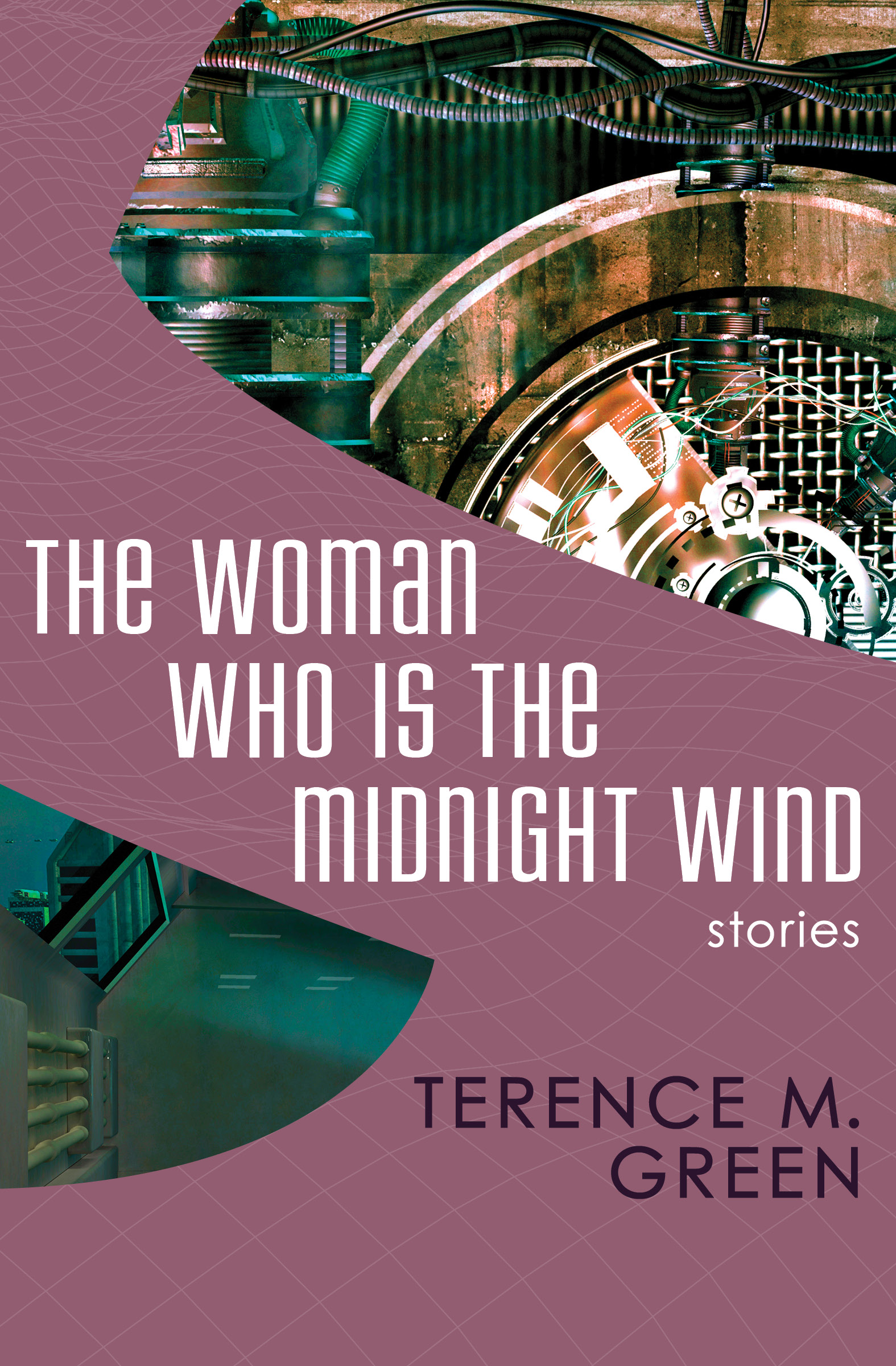 This image is the cover for the book Woman Who Is the Midnight Wind