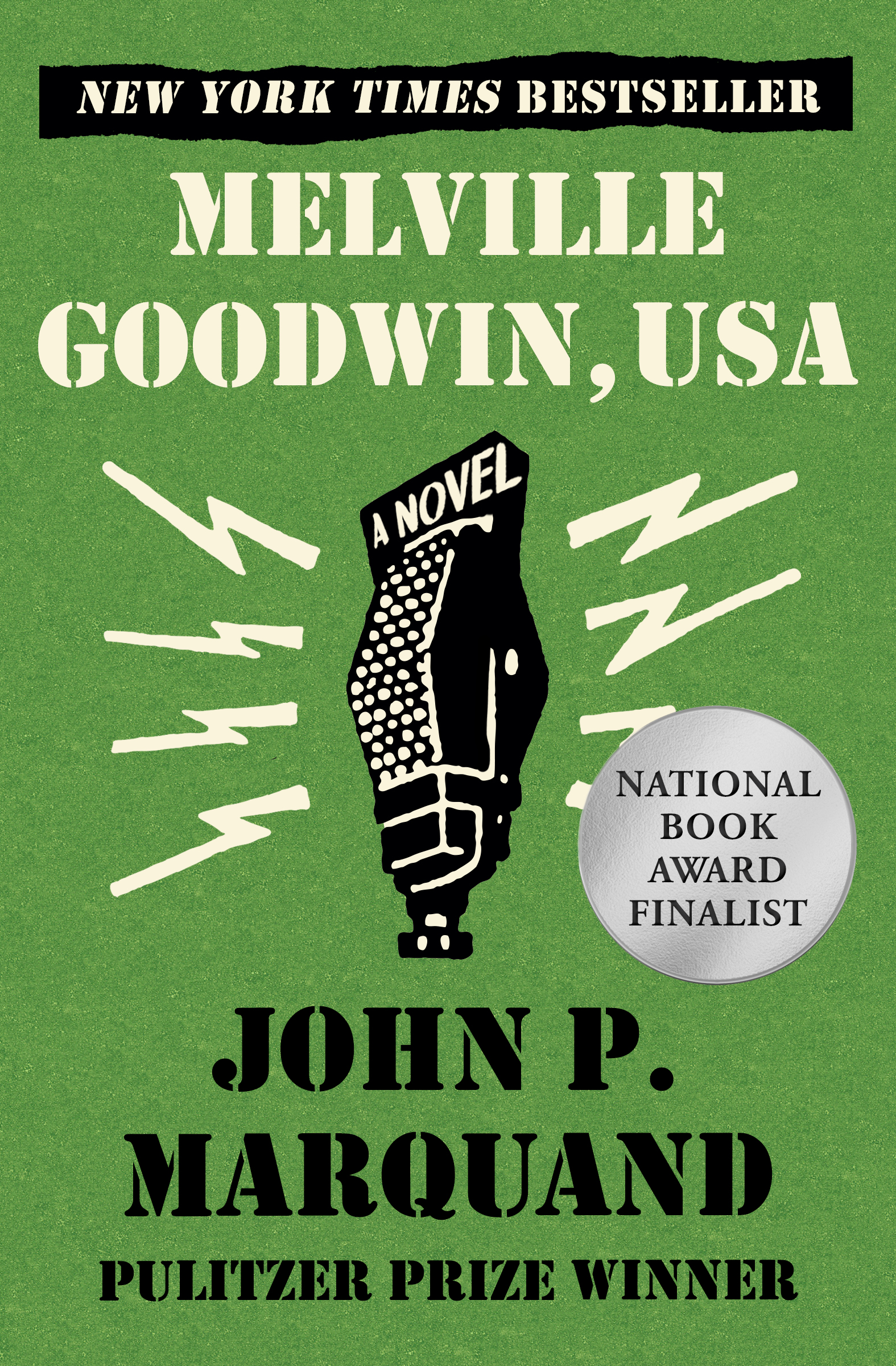 This image is the cover for the book Melville Goodwin, USA