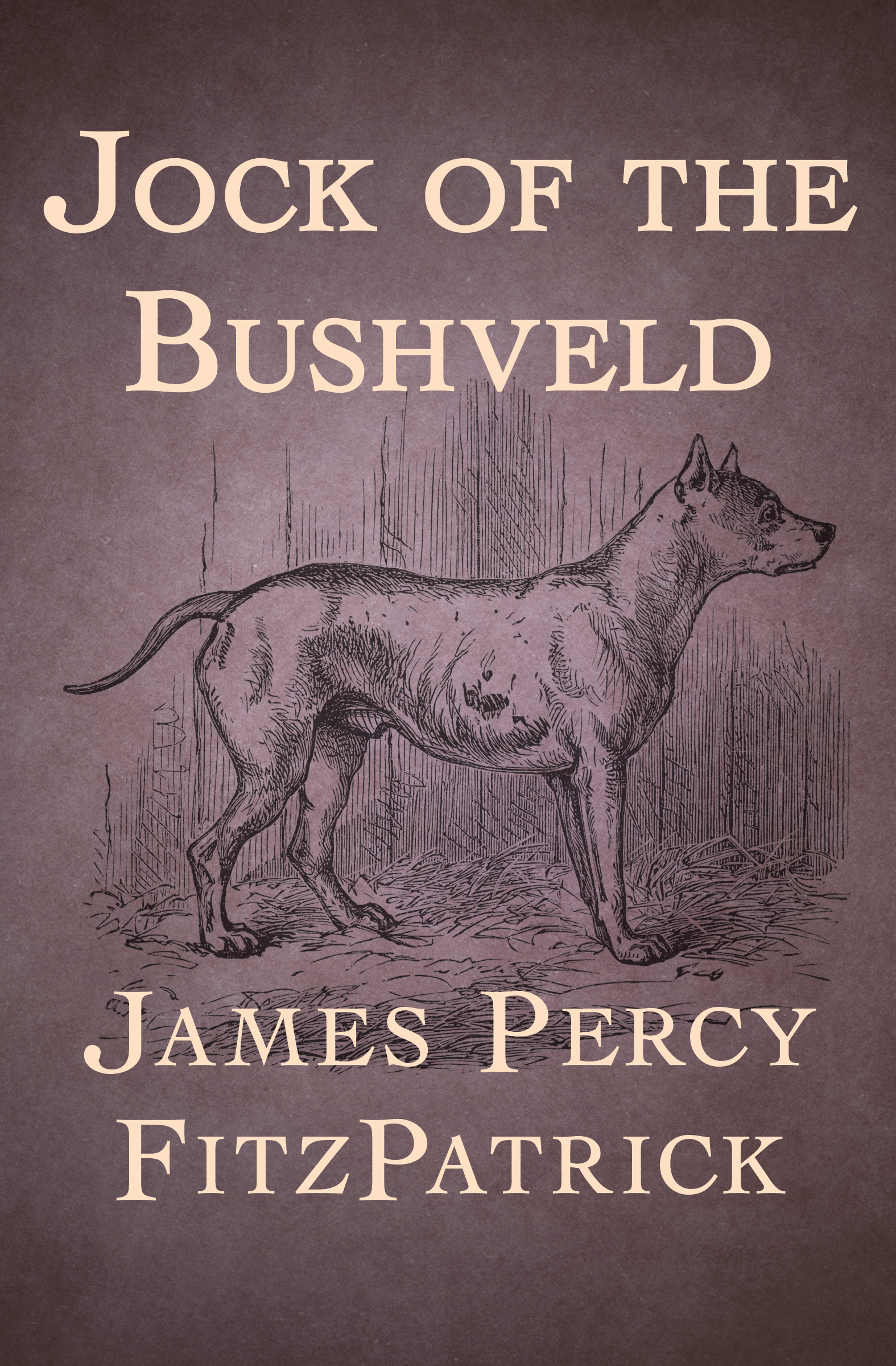 This image is the cover for the book Jock of the Bushveld
