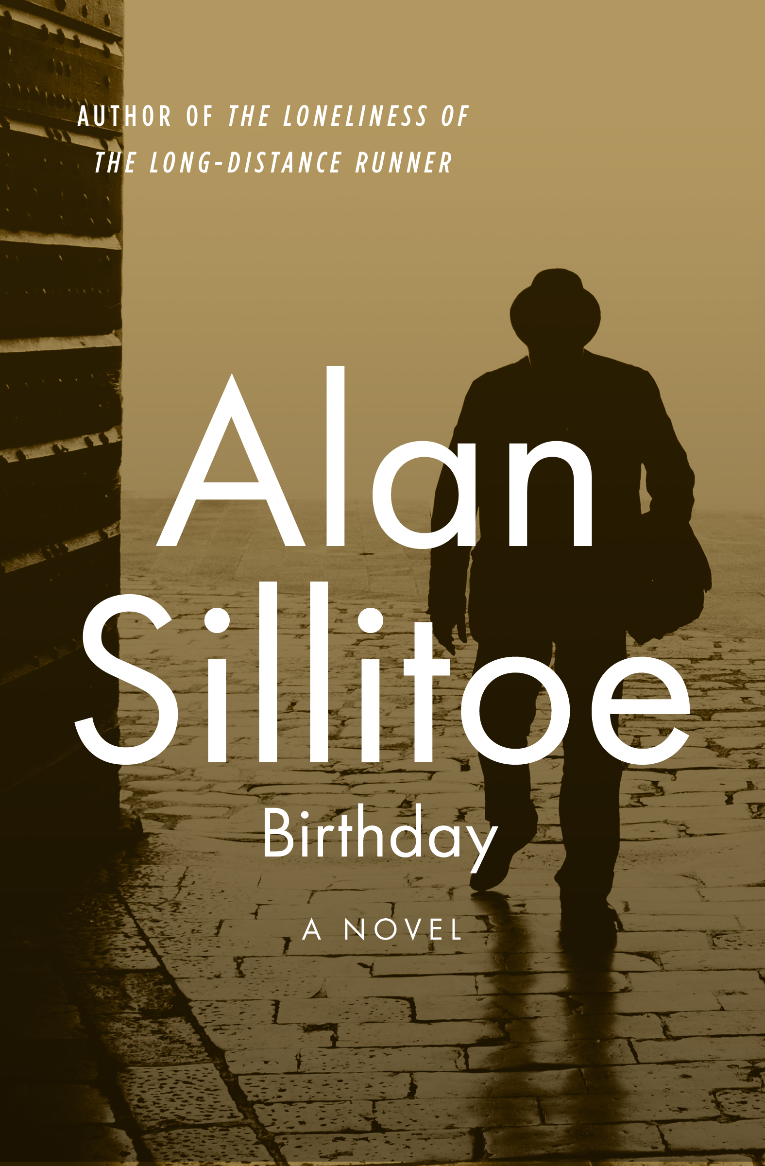 This image is the cover for the book Birthday, The Seaton Novels