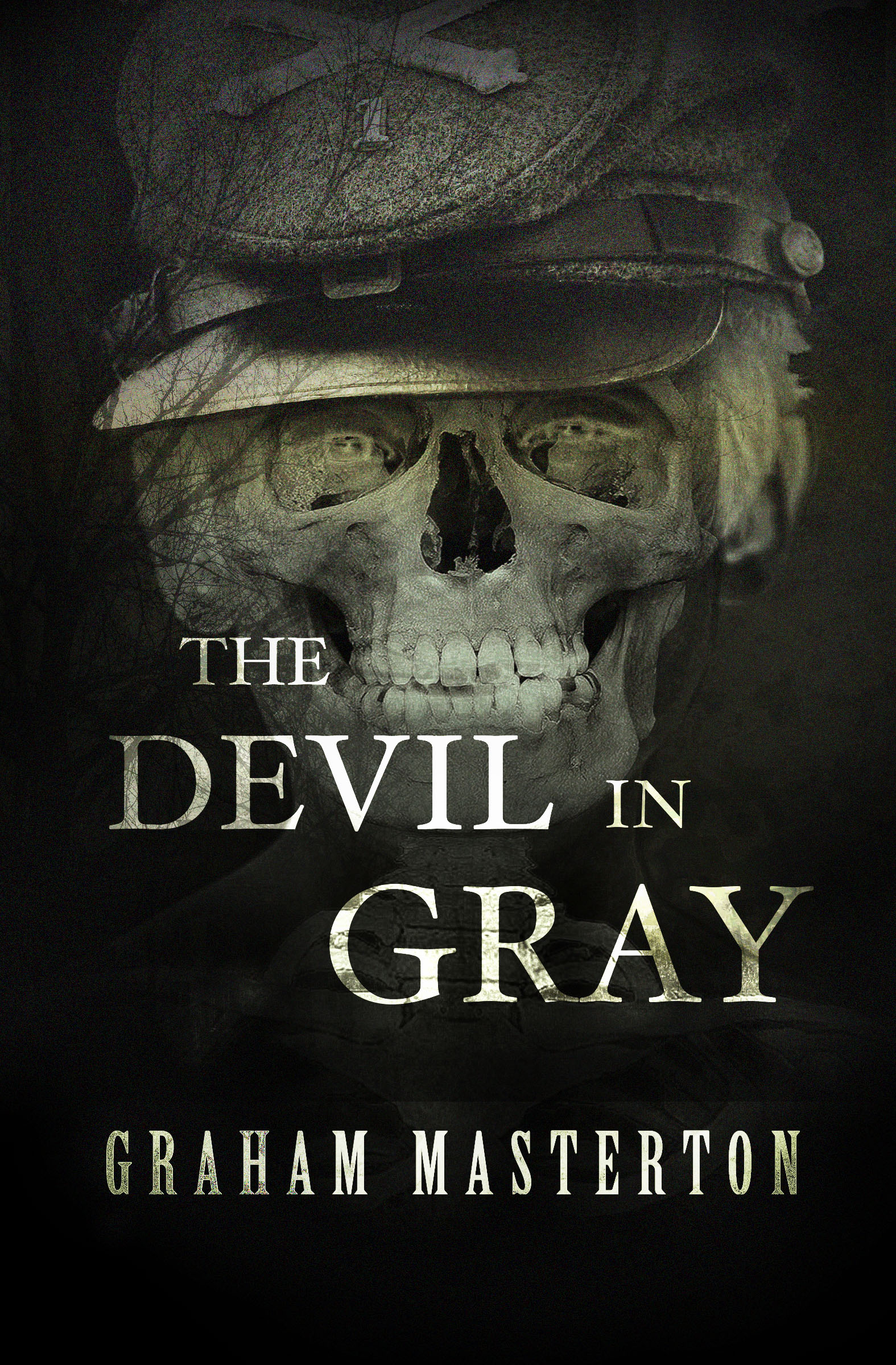 This image is the cover for the book Devil in Gray