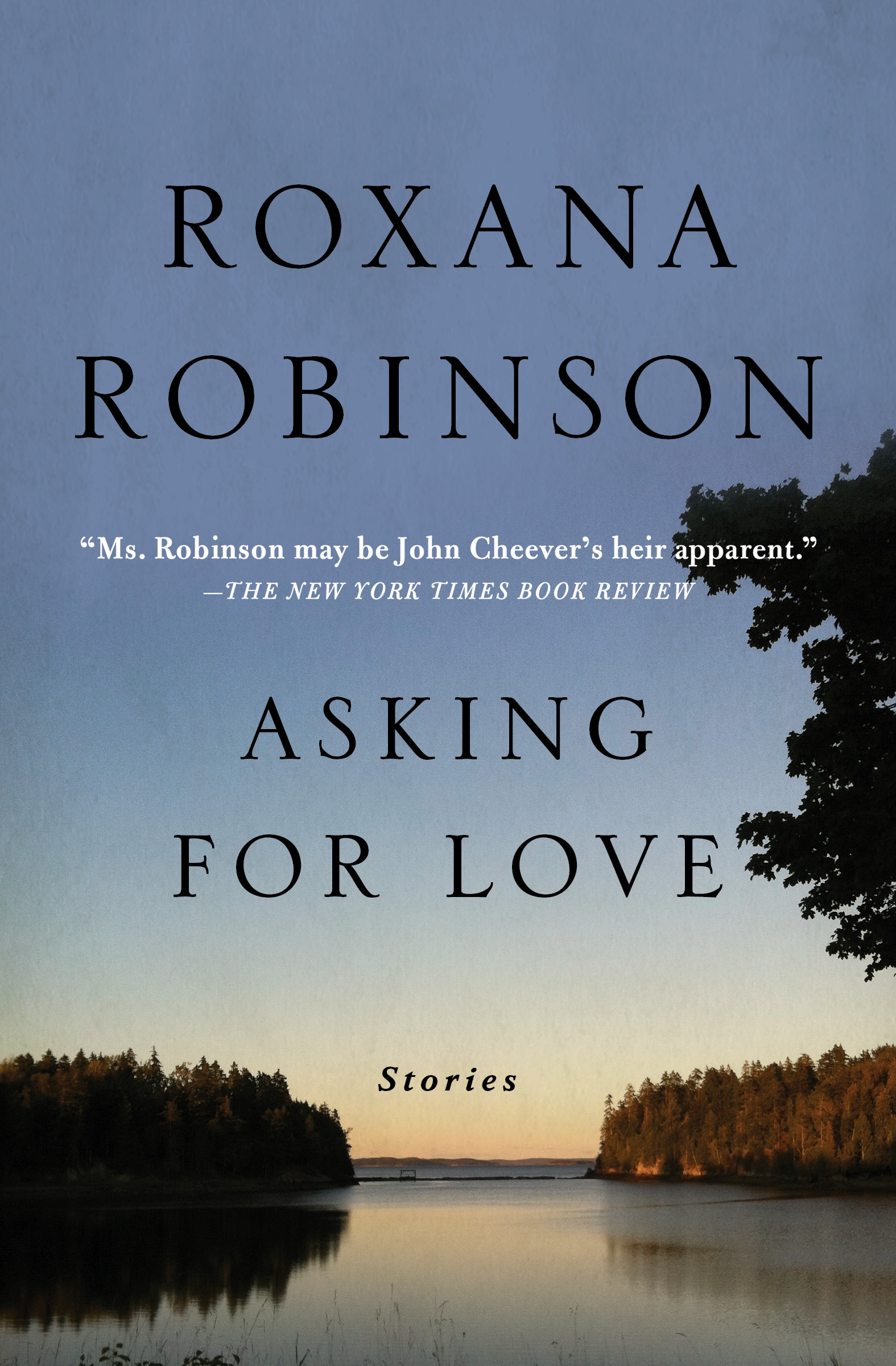This image is the cover for the book Asking for Love