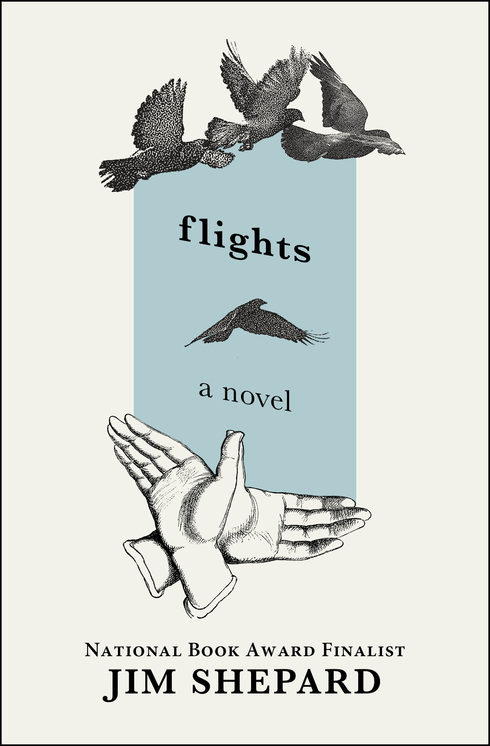 This image is the cover for the book Flights