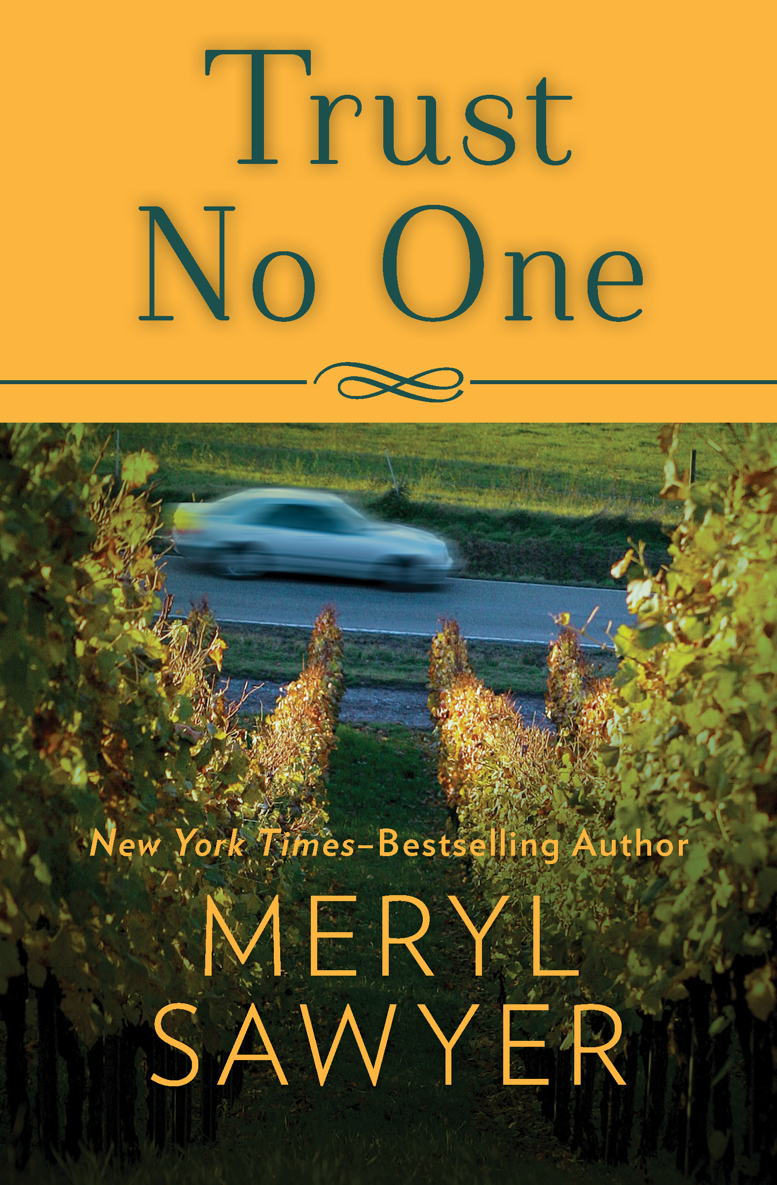 This image is the cover for the book Trust No One