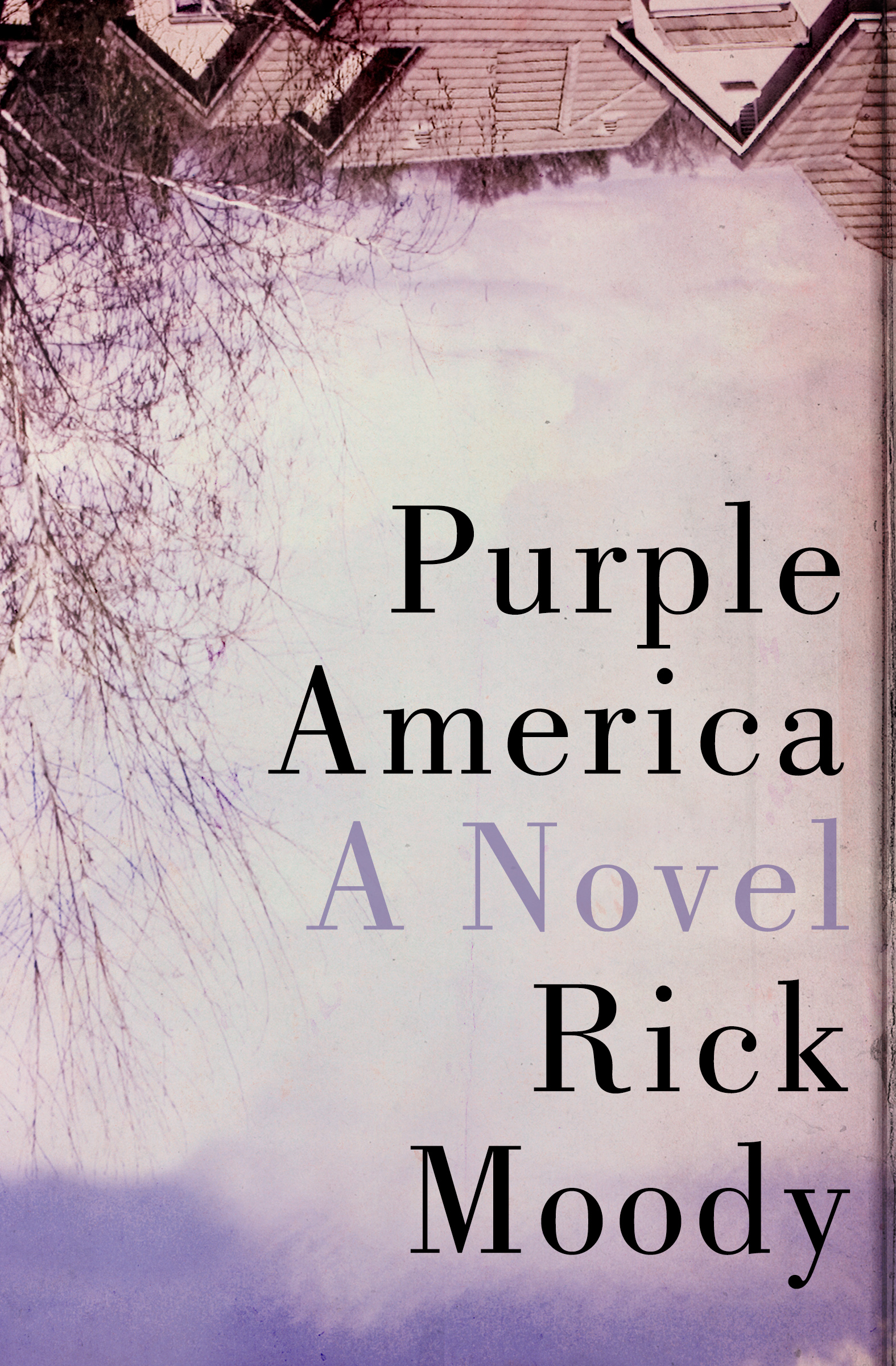 This image is the cover for the book Purple America