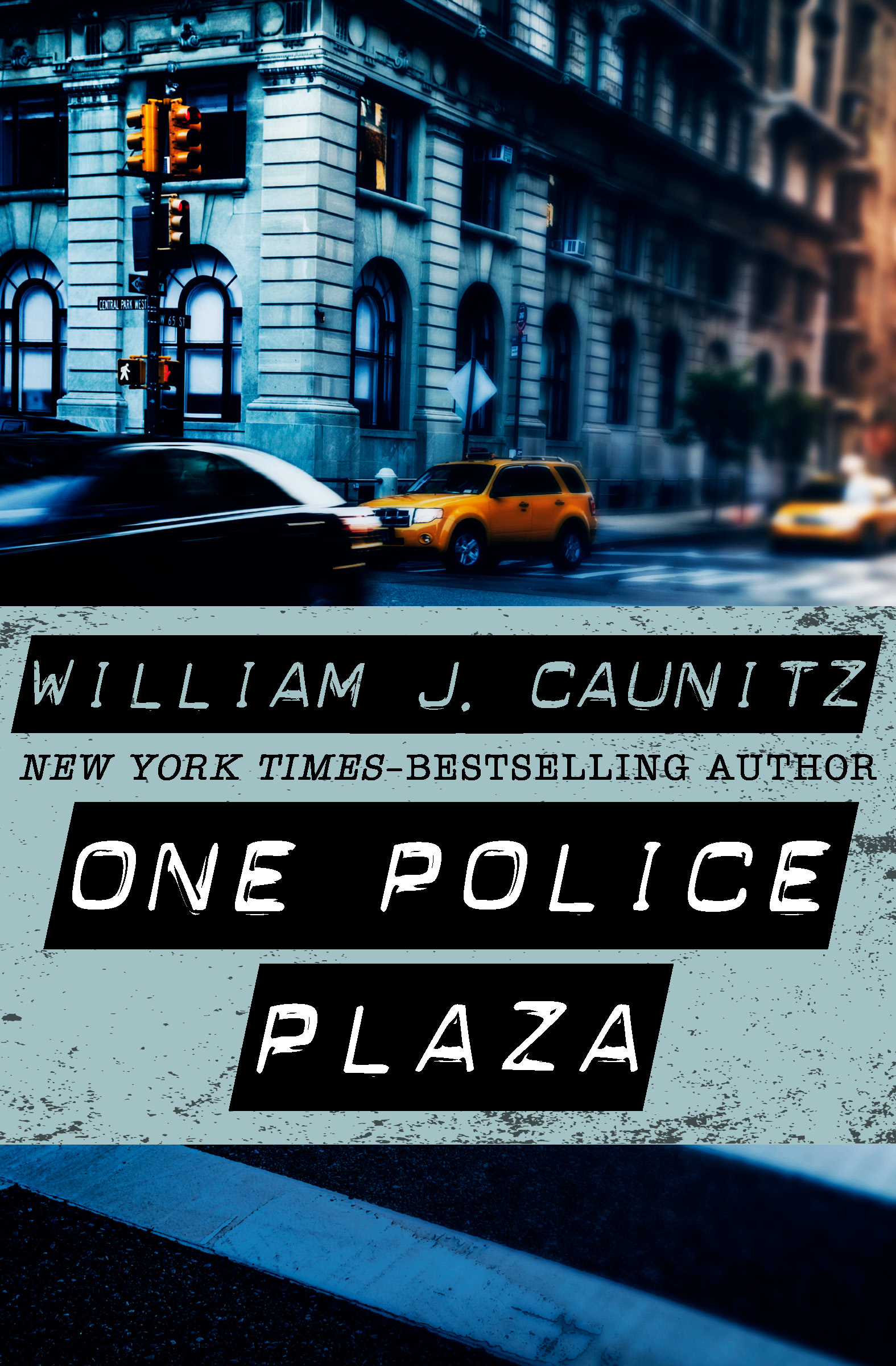 This image is the cover for the book One Police Plaza
